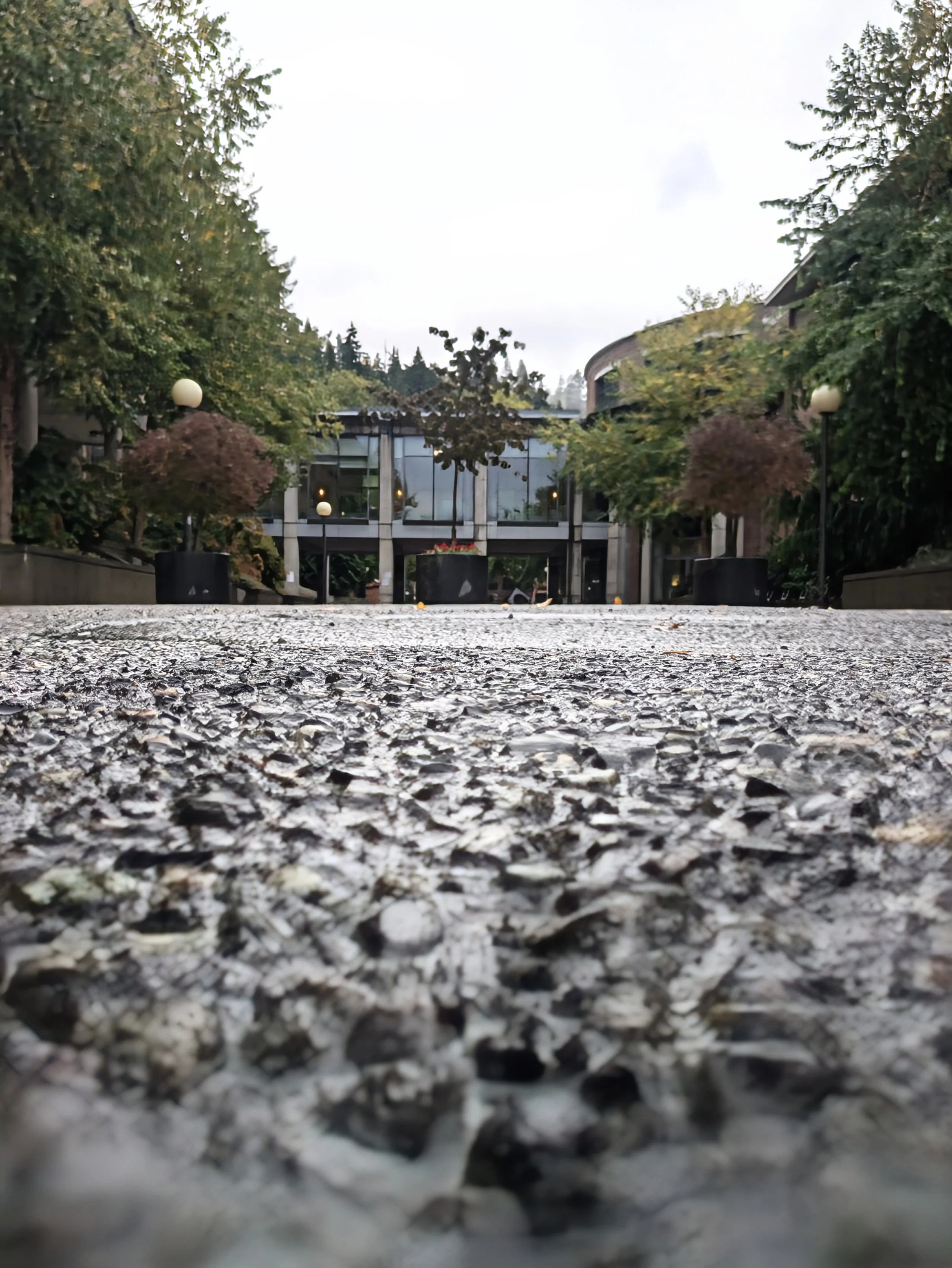 Bellingham, WA - Western Washington University Campus - Cell Phone 