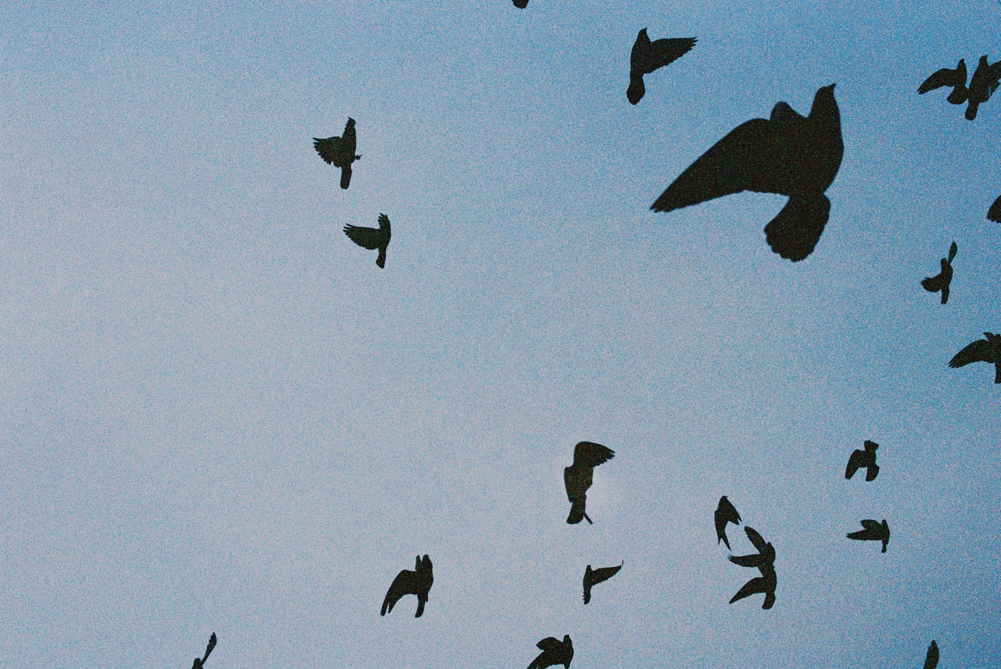 R1-04827-0021_VSCO.JPG