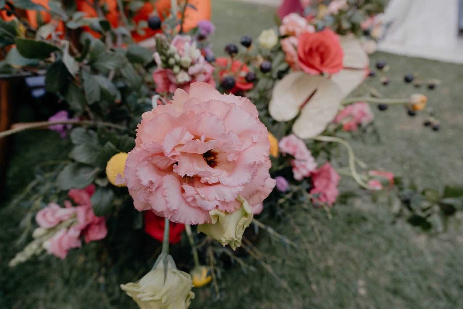 jewish-wedding-in-oaxaca-208.jpg