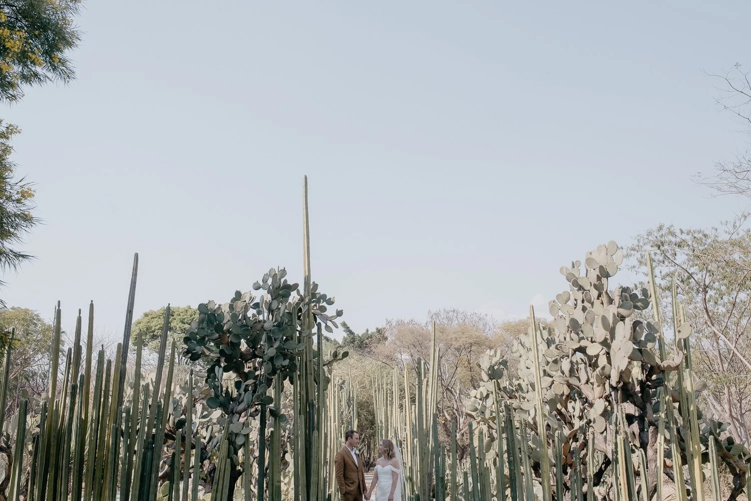 intimate-wedding-in-oaxaca-058.jpg