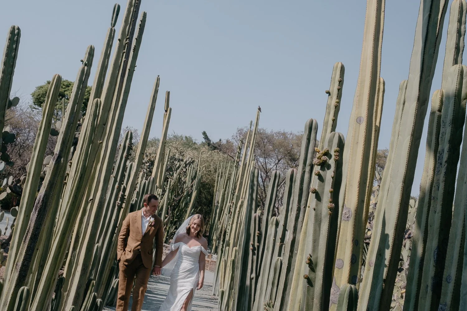 intimate-wedding-in-oaxaca-053.jpg