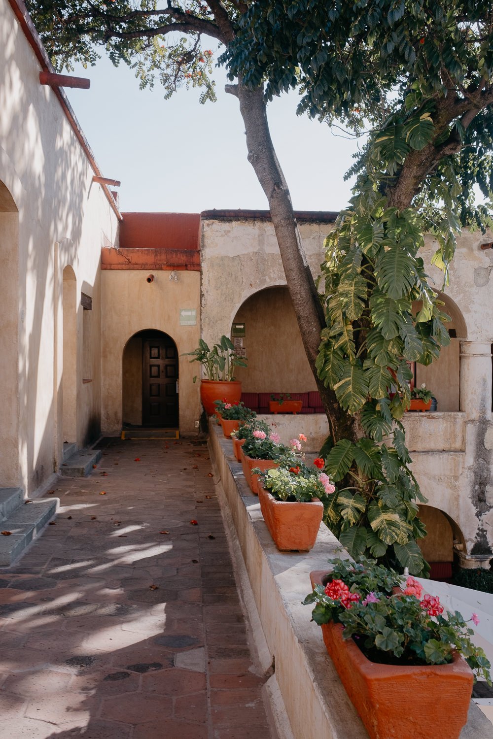 sangeet-in-oaxaca-mexico-003.jpg