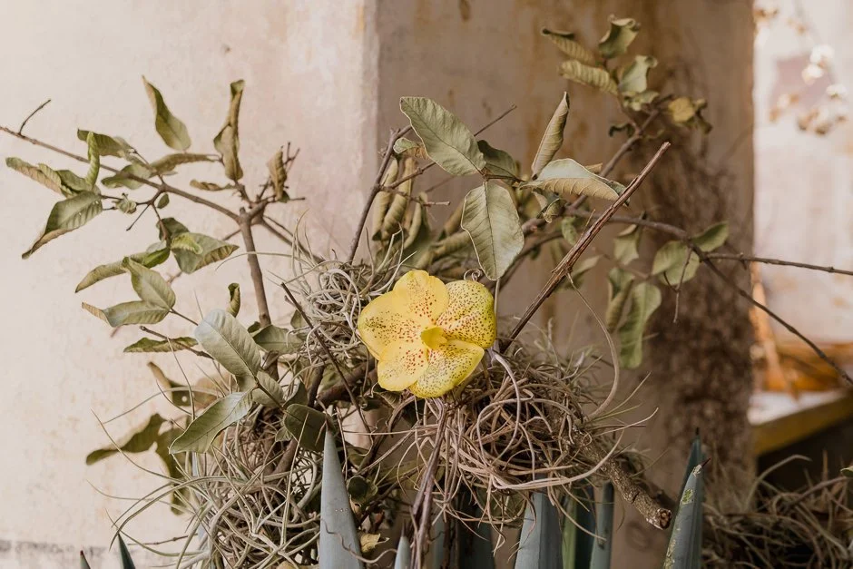 proyecto-murguia-sirena-varada-studio-071.jpg