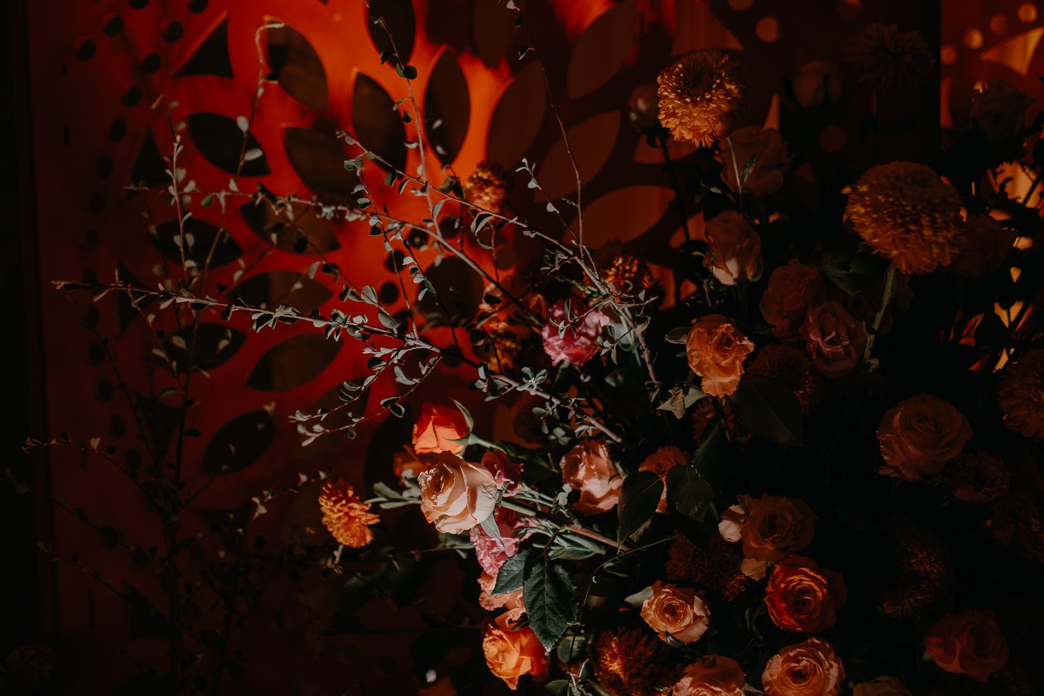 sangeet-in-oaxaca-mexico-110.jpg