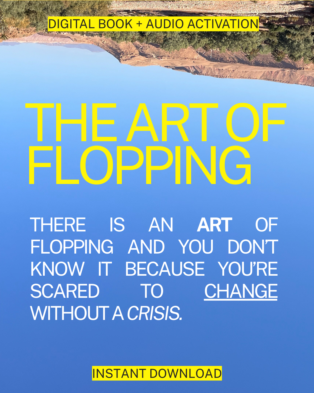 THE ART OF FLOPPING: EBOOK + AUDIO