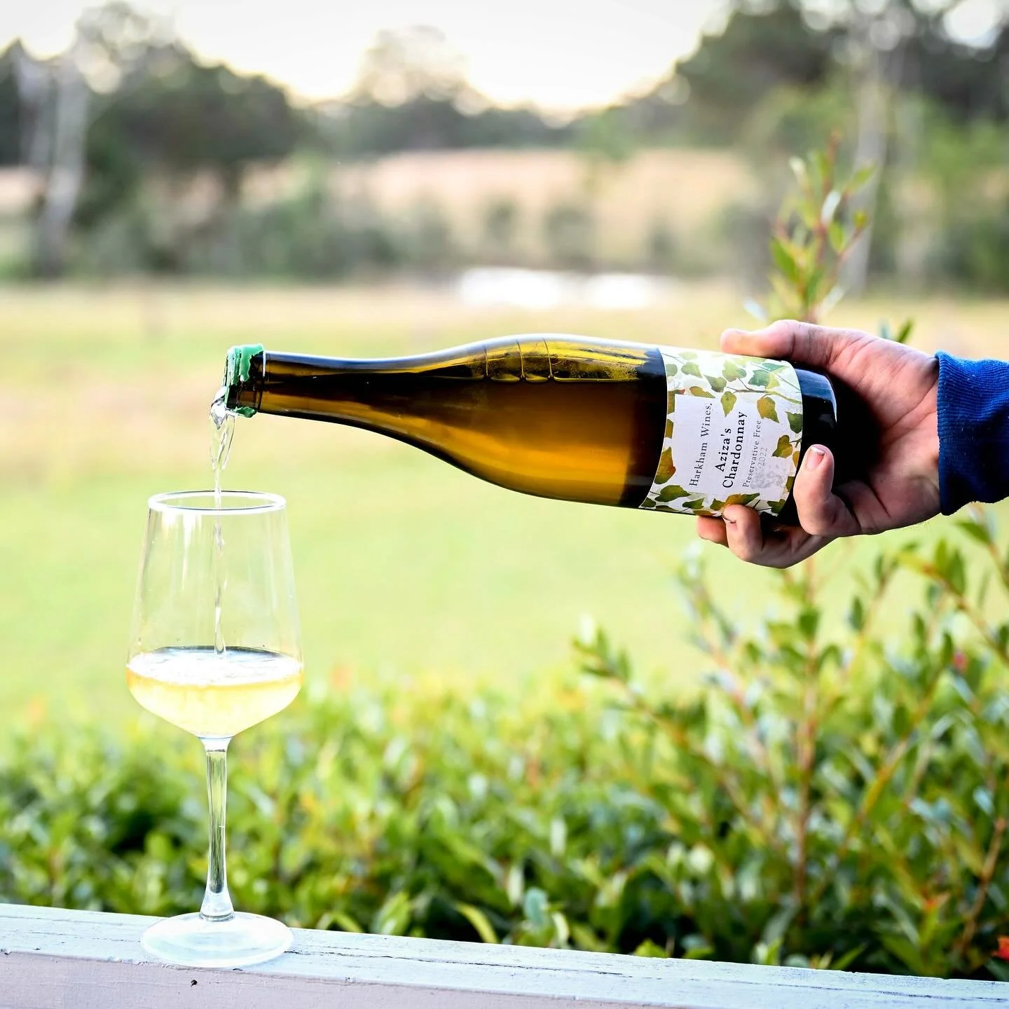 The beauty of cabin life is harkham wine pours on the balcony at sunset! 
.
.
.

#harkham #harkhamwonery #naturalwines #huntervalley #hunter #huntervalleywinecountry #pokolbin #italianrestaurant #richieharkham #harkhamhouse #harkhamlodge #huntervalle