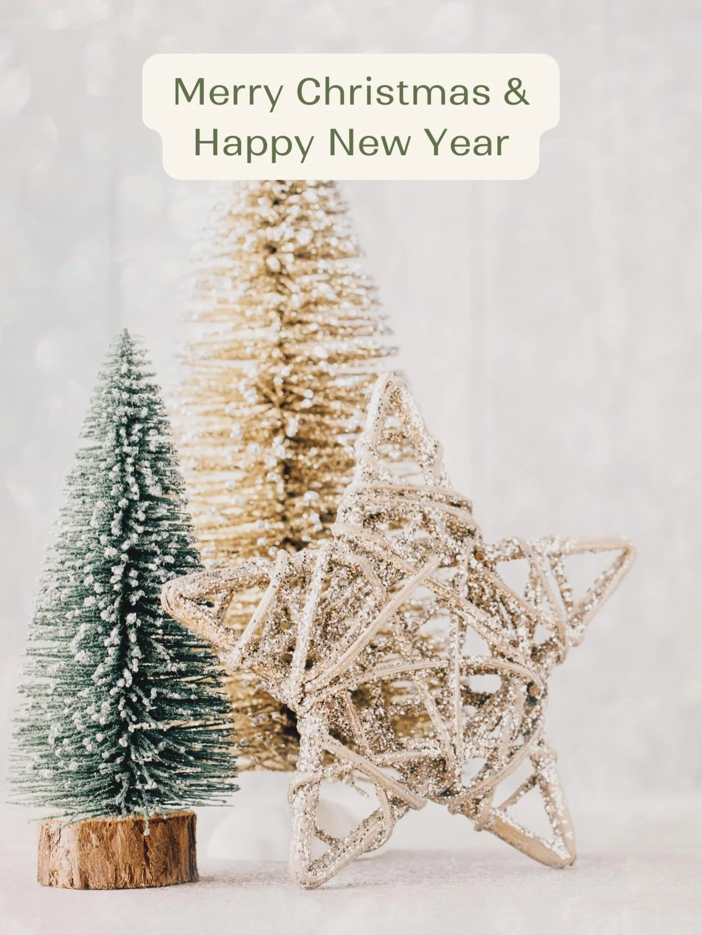 Merry Christmas and Happy New Year! 

From all of us at the Wholistic Health Macedon Ranges Team, we wish you a season filled with peace, wellness, and renewed energy. 

Thank you for trusting us with your health and wellbeing. 

We look forward to s
