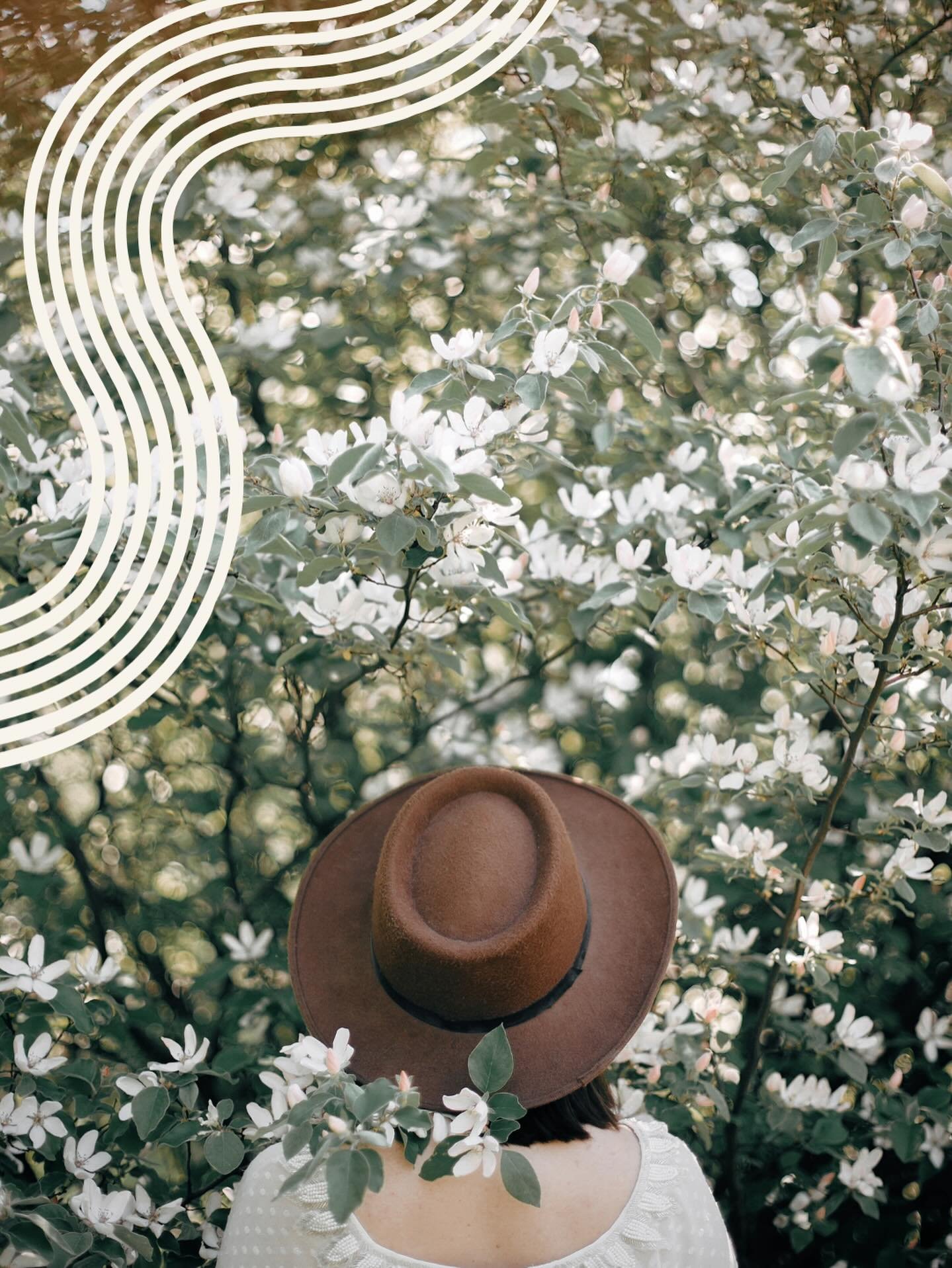 Due to increased demand, Dr Yin is now open on Saturdays for acupuncture appointments.

More availability, same thoughtful care.  Book your weekend session today and take a step towards better balance and wellness.