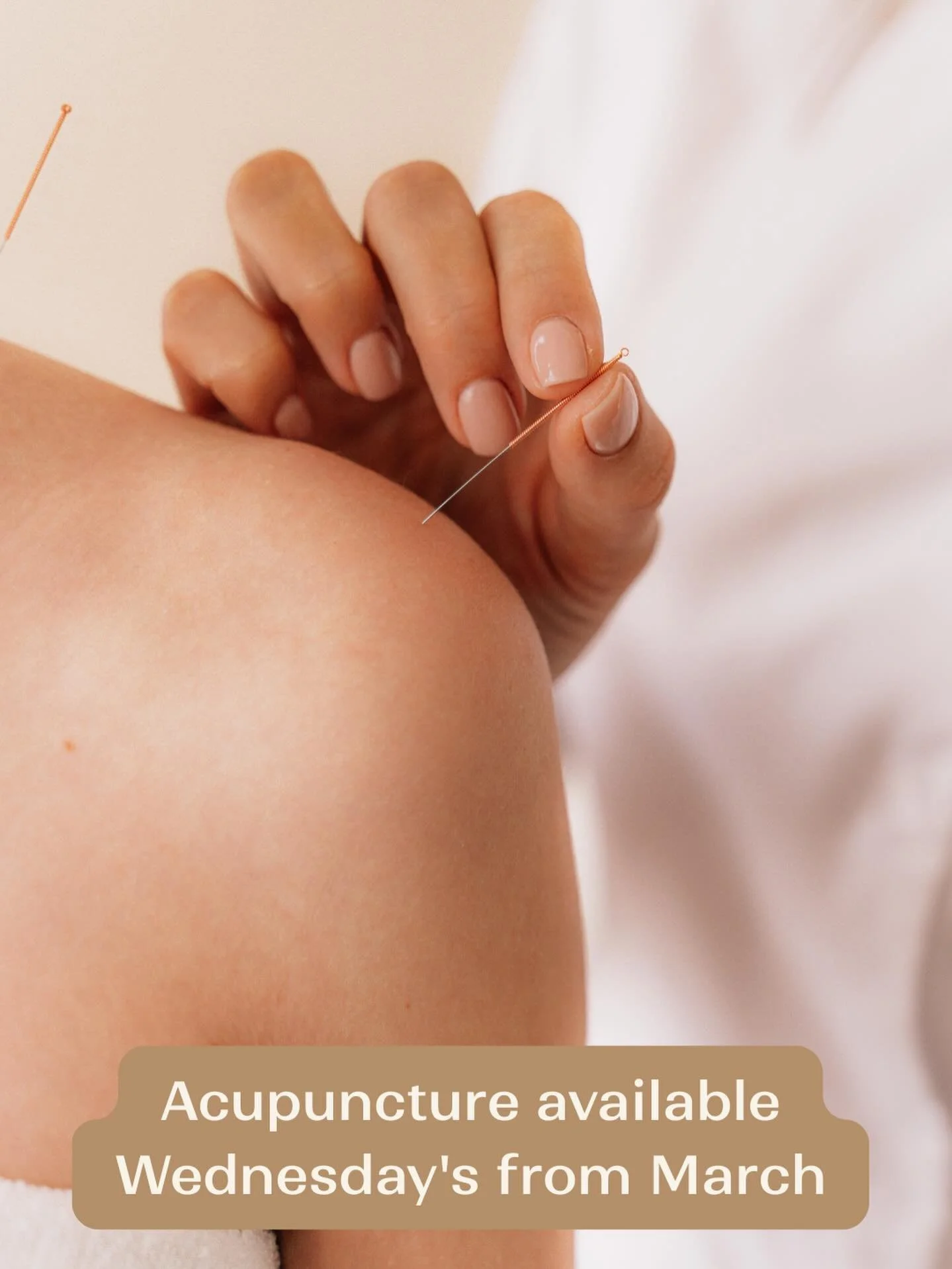 From March, Dr Yin will be opening Wednesday mornings for Acupuncture appointments alongside her regular Tuesday, Friday and Saturday clinic days. 

Appointments fill quickly &mdash; book ahead.