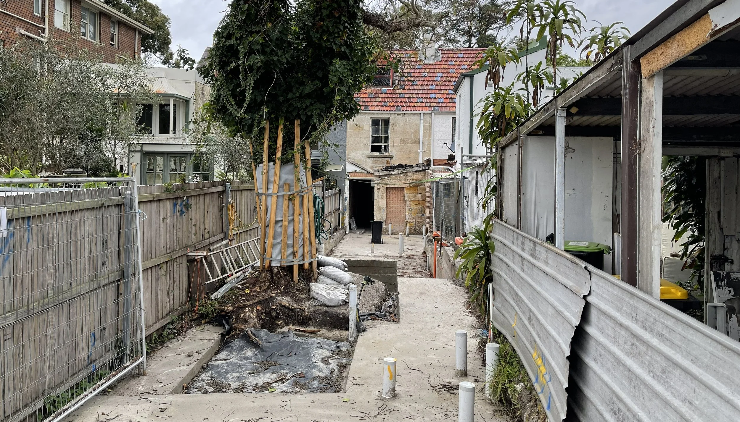 Backyard area with construction work in progress, including a newly planted tree supported by wooden stakes, along with construction materials, fencing, and a partially built structure.