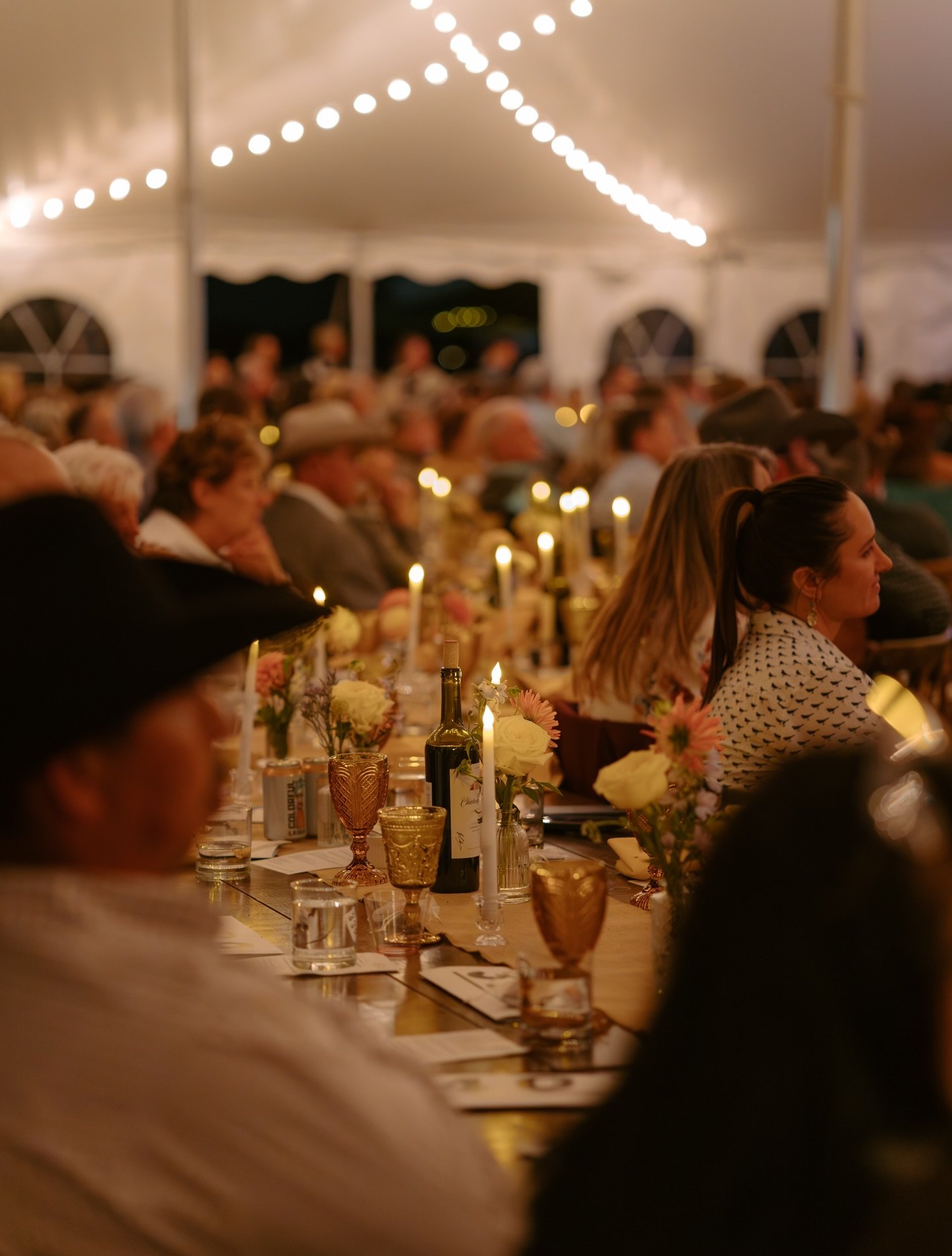 Mane Event at the Ranch 2025 

Thank you for having me @coloradohorserescue and for hosting this incredible event to create a better world for horses 💛

#ColoradoPhotography #HorsePhotography #ChicagoPhotographer #ChicagoPhotography