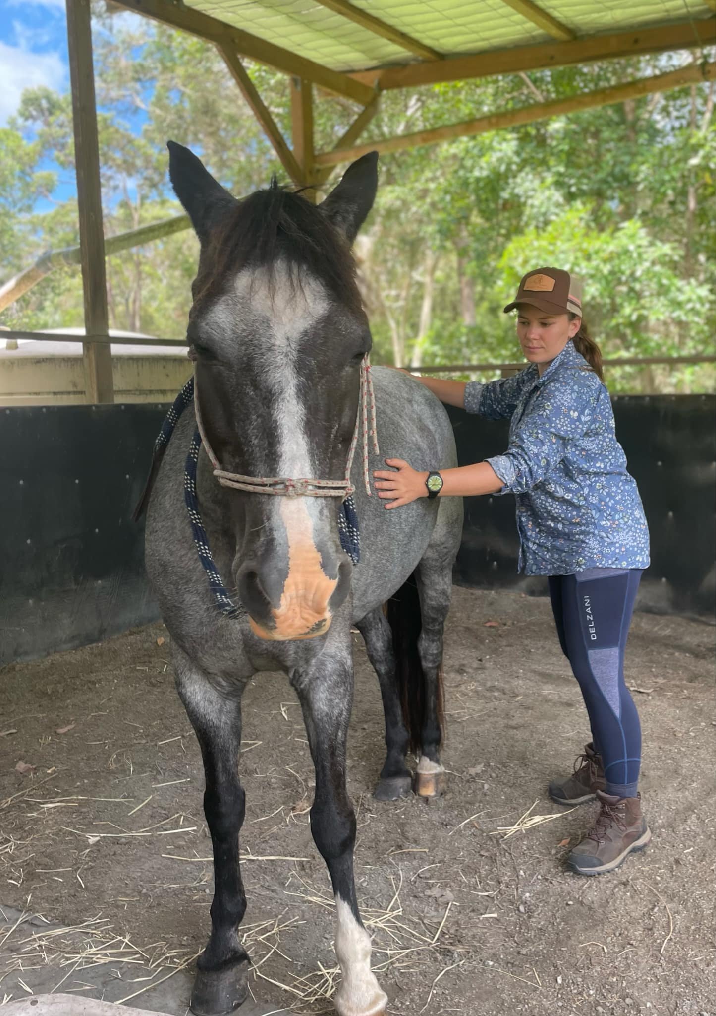 Georgia Rose gently working with a grey horses back during a bodywork session.