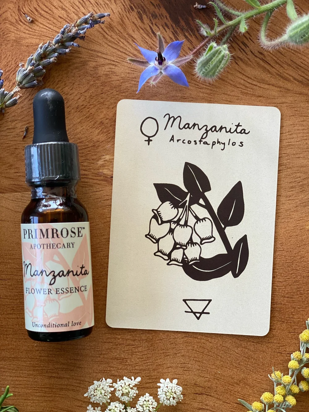 Manzanita Flower Essence — Primrose Apothecary