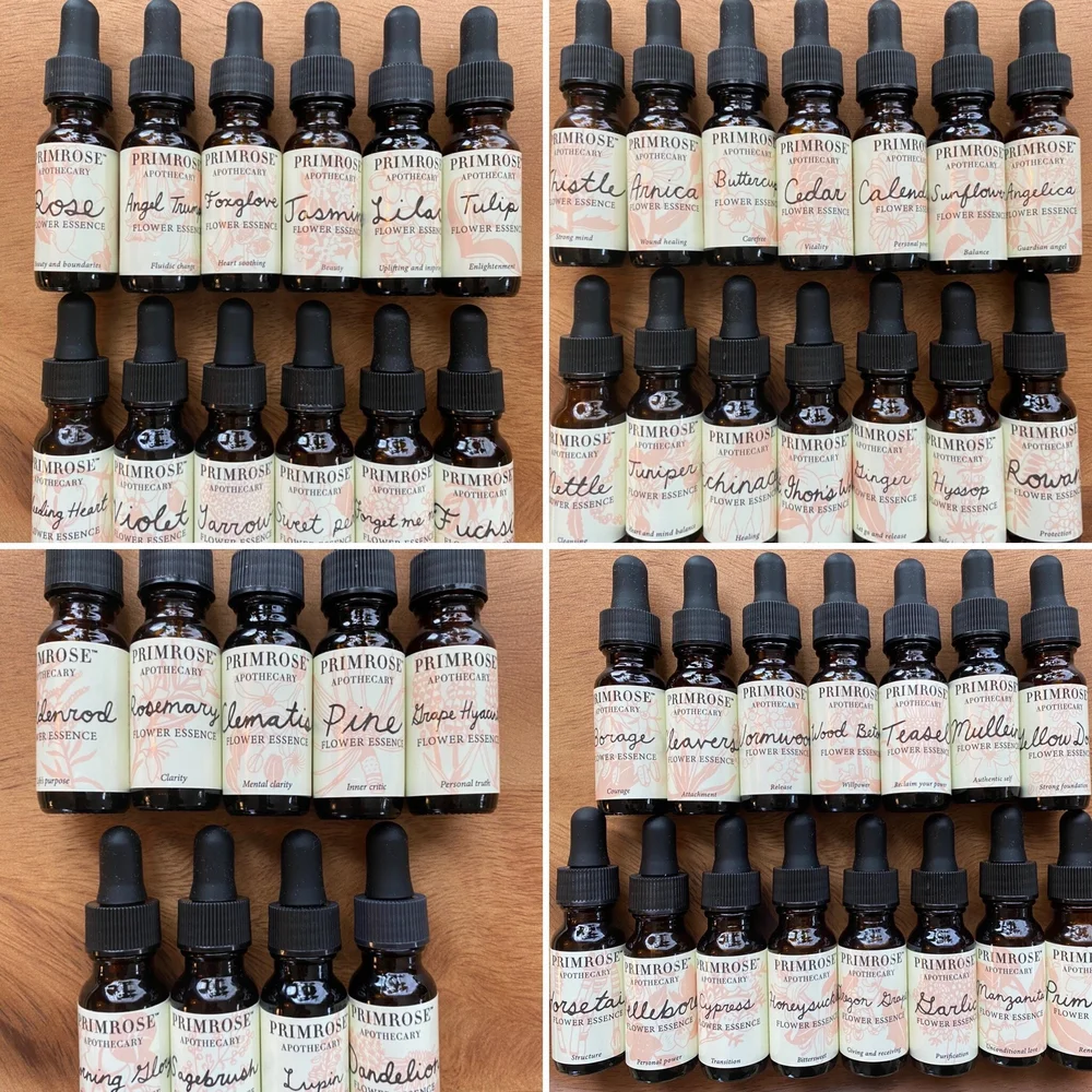 Flower Essence Practitioner Kit — Primrose Apothecary