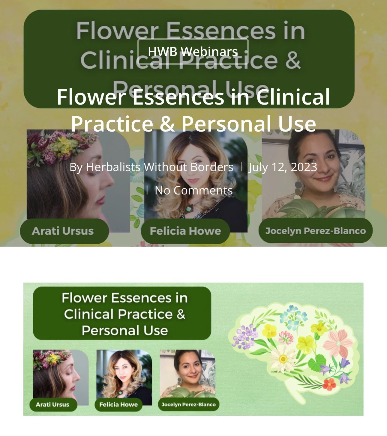 Flower Essences in Clinical Practice &amp; Personal Use
