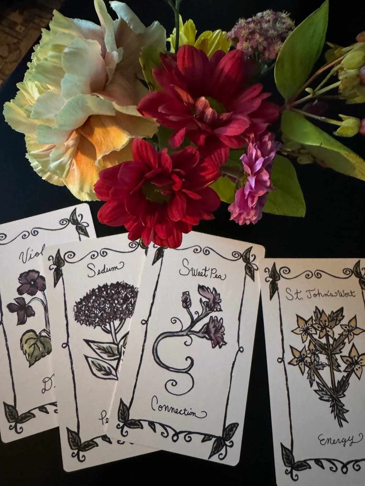 A gentle reminder from the garden to slow down and listen 🌿✨

Today&rsquo;s draw from the Sibyl of the Flora Oracle:
🌸 Violet &ndash; Devotion
🌼 Sedum &ndash; Peace
🌺 Sweet Pea &ndash; Connection
🌞 St. John&rsquo;s Wort &ndash; Energy

Each card