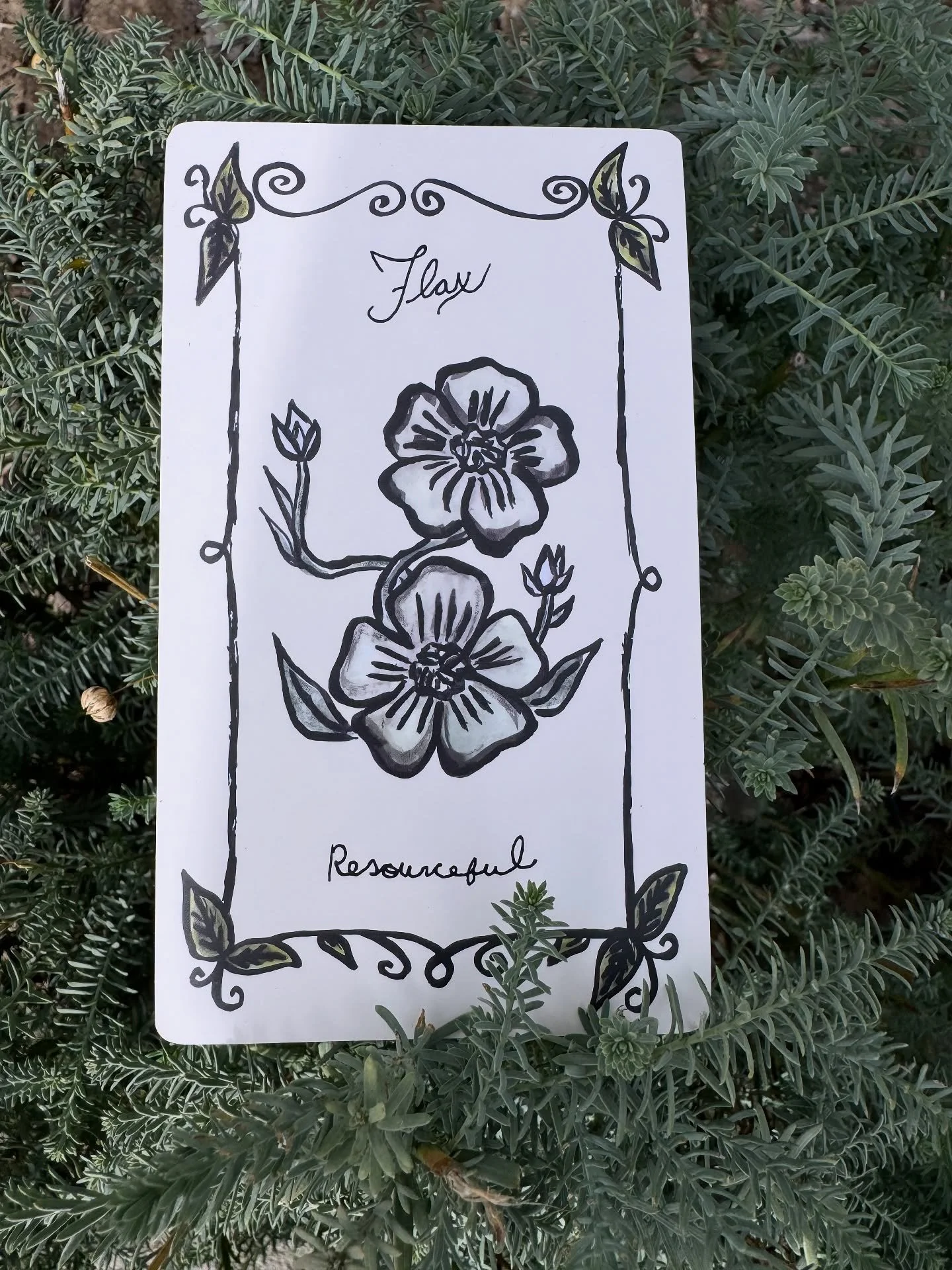 From Sibly's garden 
Floriography: Flax (Linum usitatissimum) &mdash; &ldquo;I Am Resourceful&rdquo;

Graceful and enduring, flax has been cherished for thousands of years across the Mediterranean and beyond. Cultivated for its fiber, seeds, and oil,