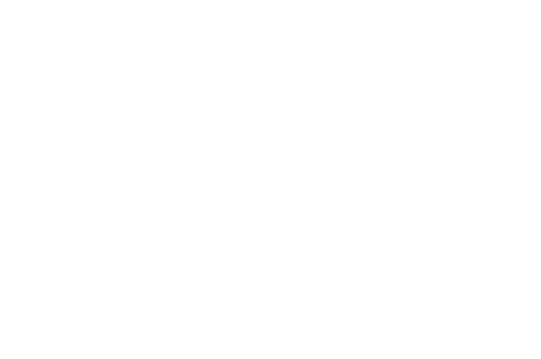 Chicago Fashion  Film Festival 