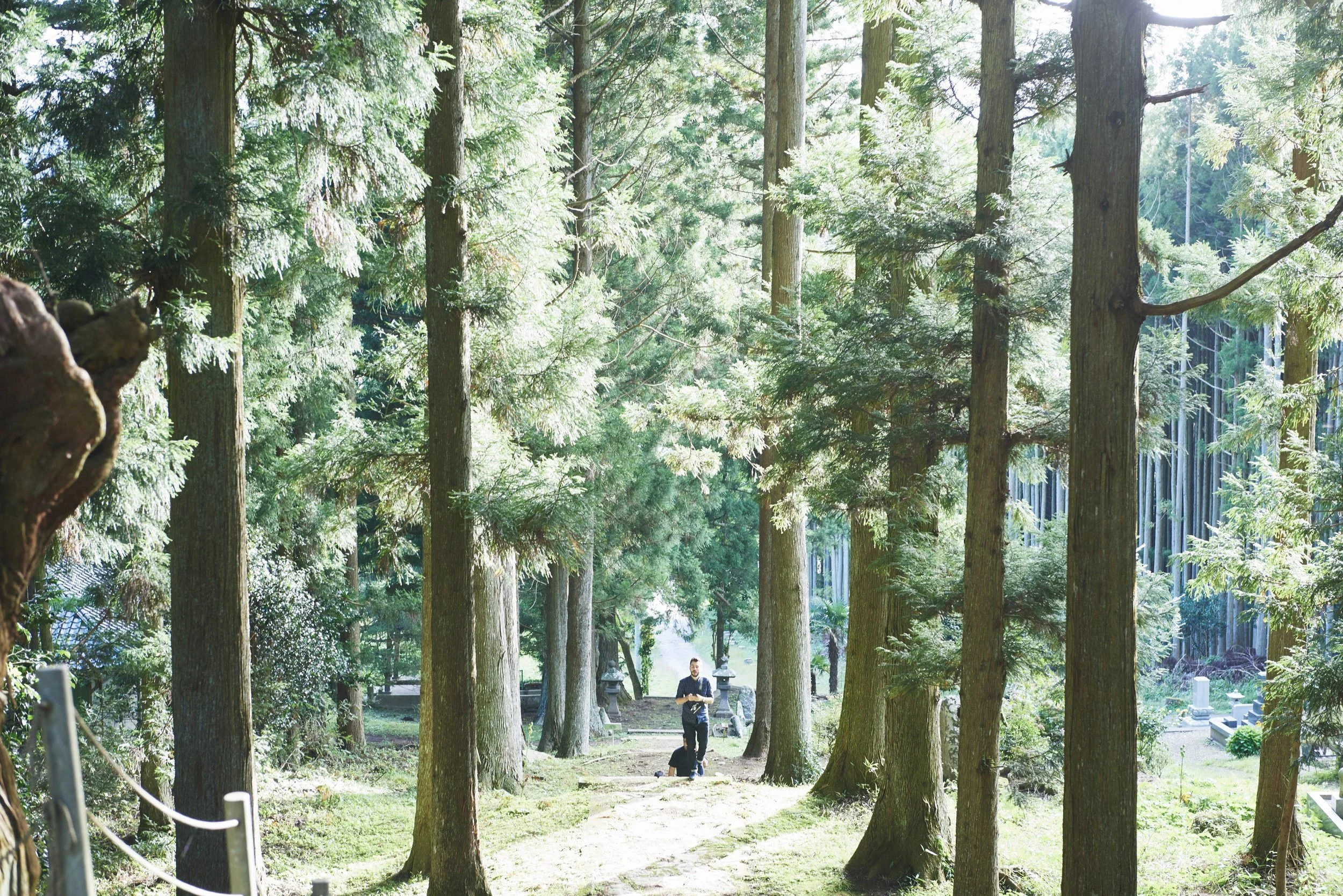 In Praise of Silence: Japan’s Ancient Relationship to the Absence of Noise