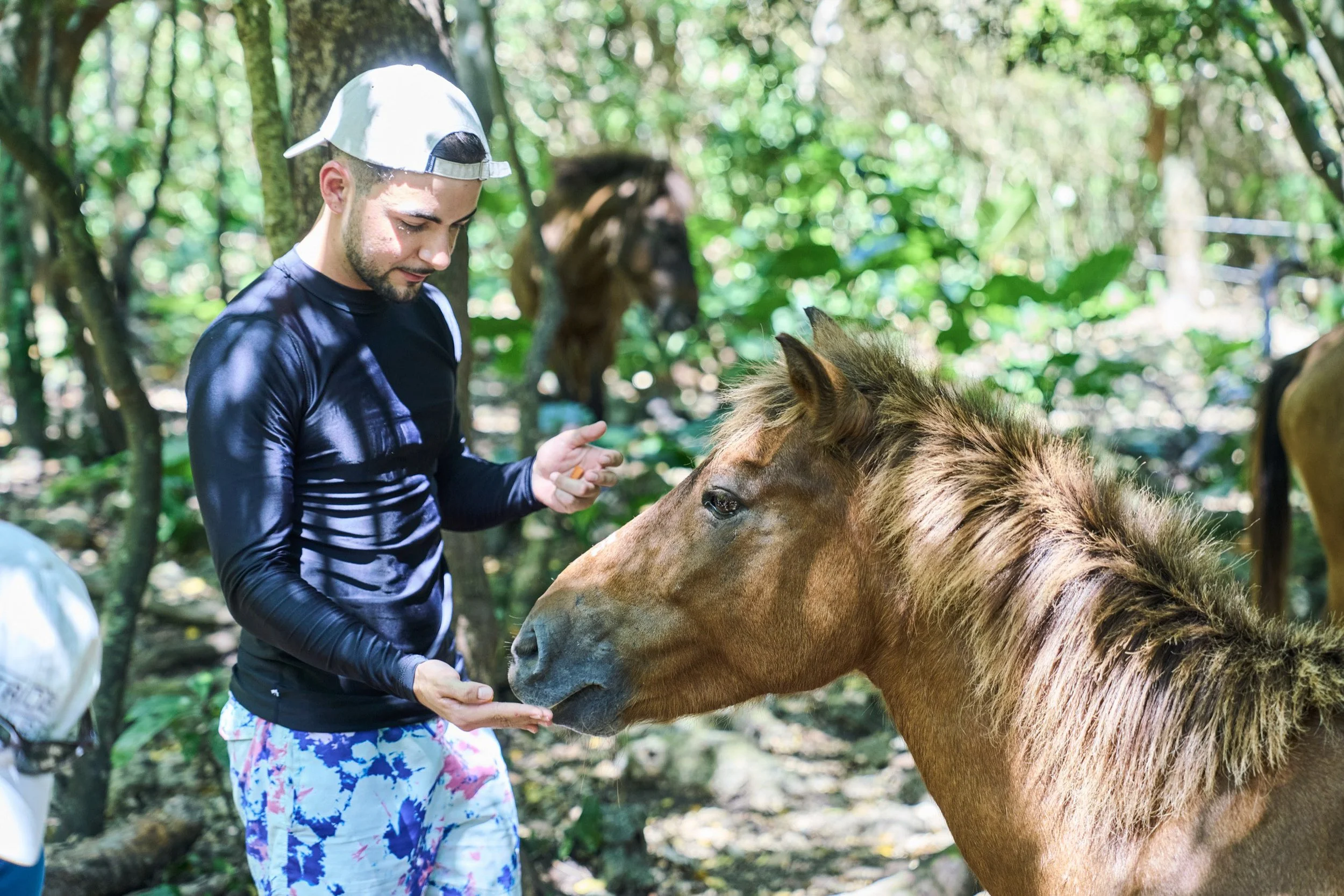 23-OKINAWA_HorseFarm_Umikaze_2560px_252.jpg