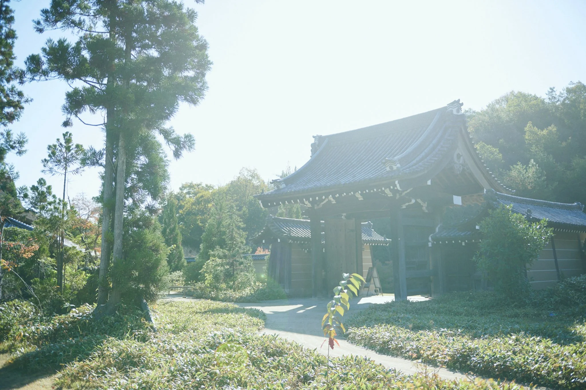 1-Hiroshima_Shinshoji_142.jpg