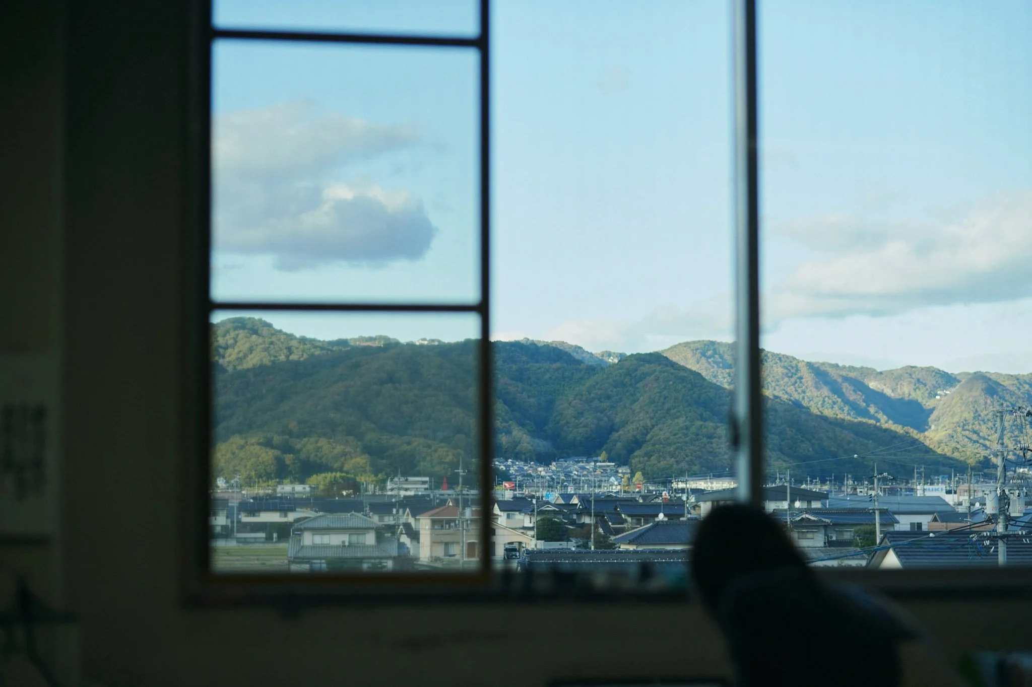8-Hiroshima_Toyogaku_209.jpg