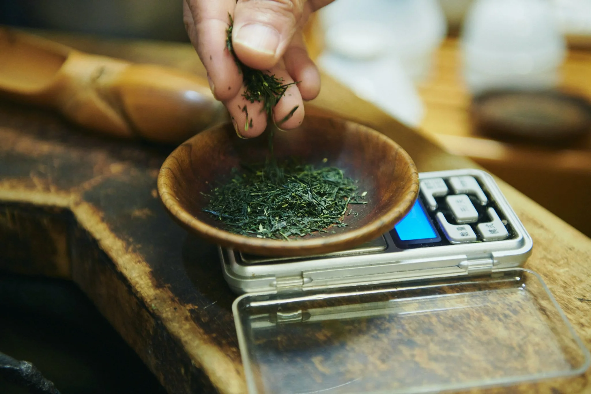12-Hiroshima_Imagawa_Gyokukoen_Tea_Stall_273.jpg