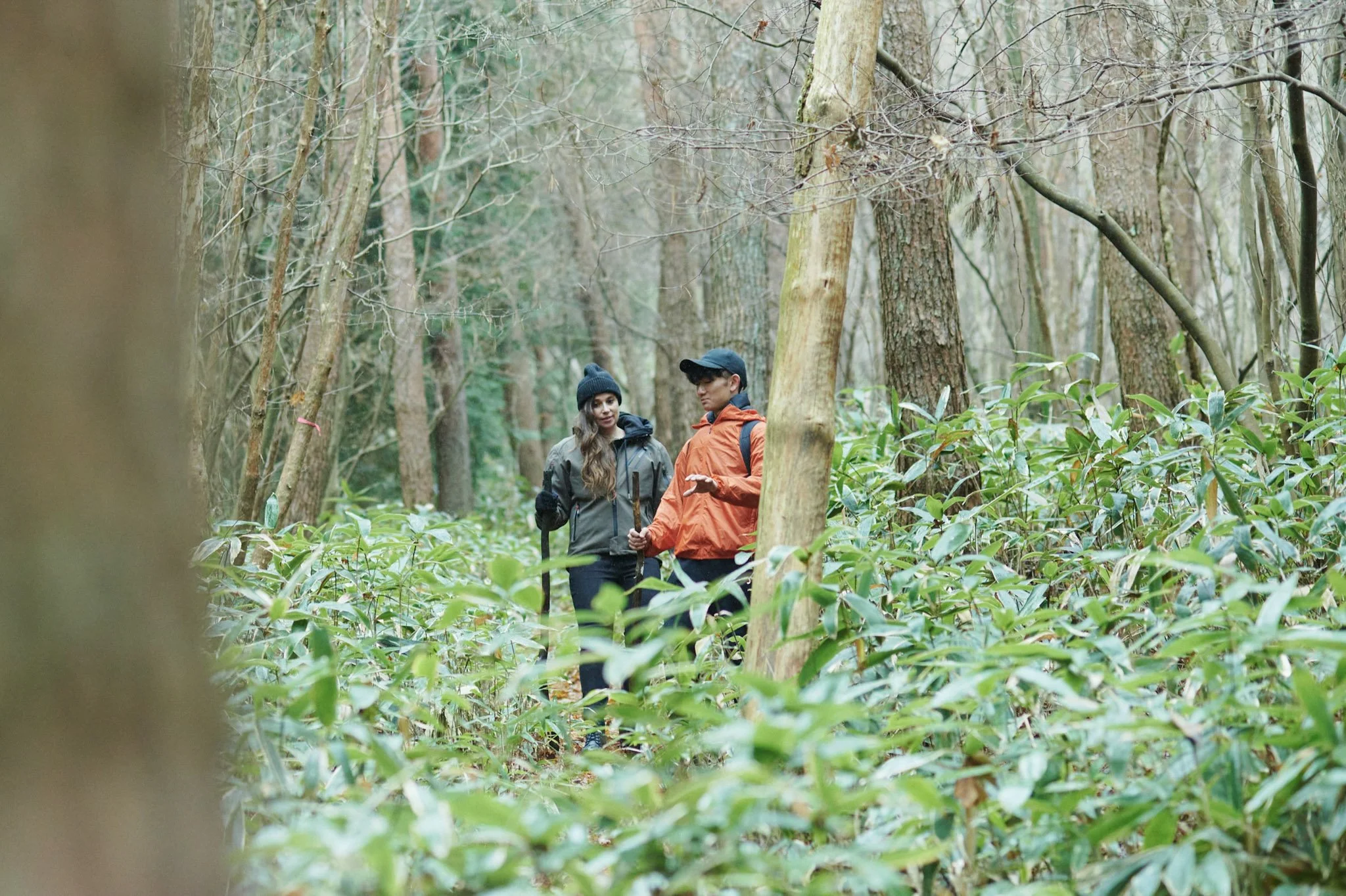 Omineyama_trekking_Hiroshima_053.jpg