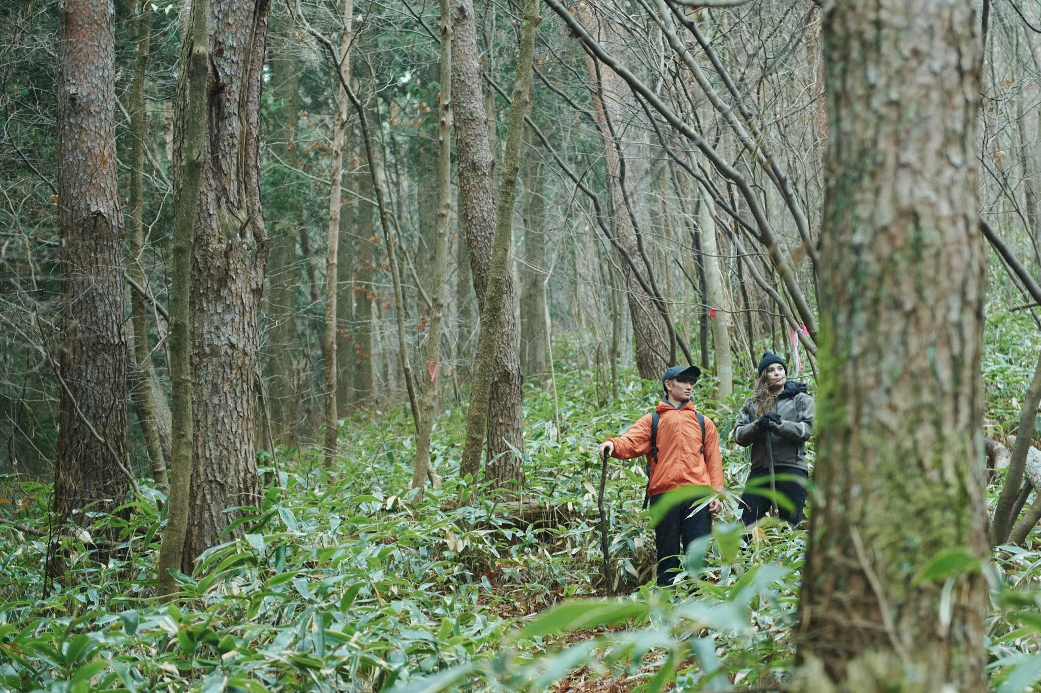 Omineyama_trekking_Hiroshima_063 (1).jpg