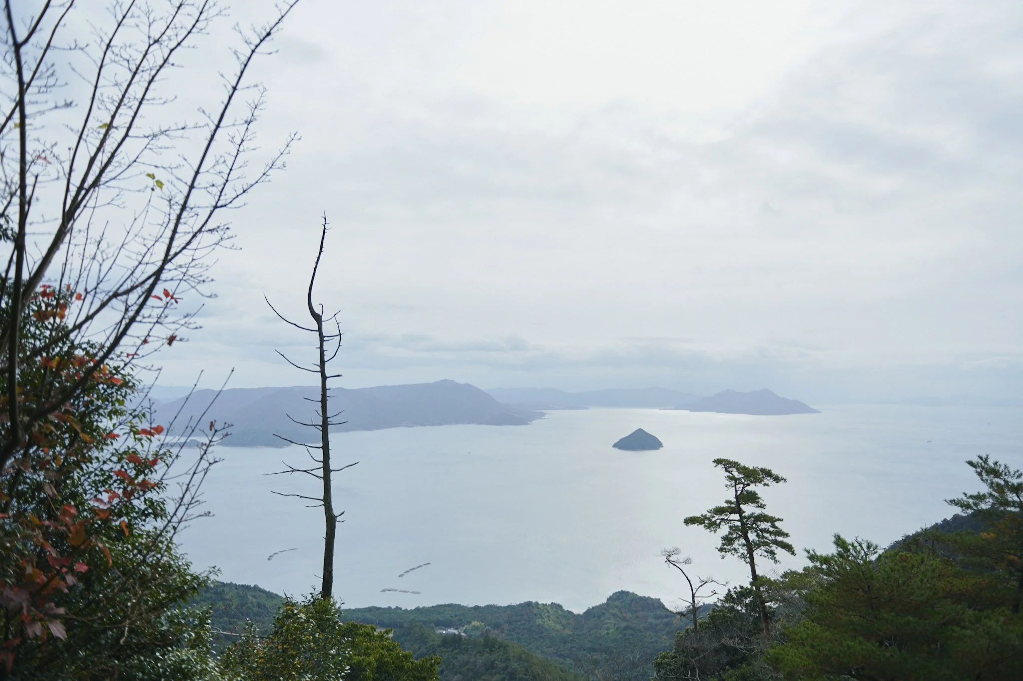 4-Misen_trekking_Hiroshima_173.jpg