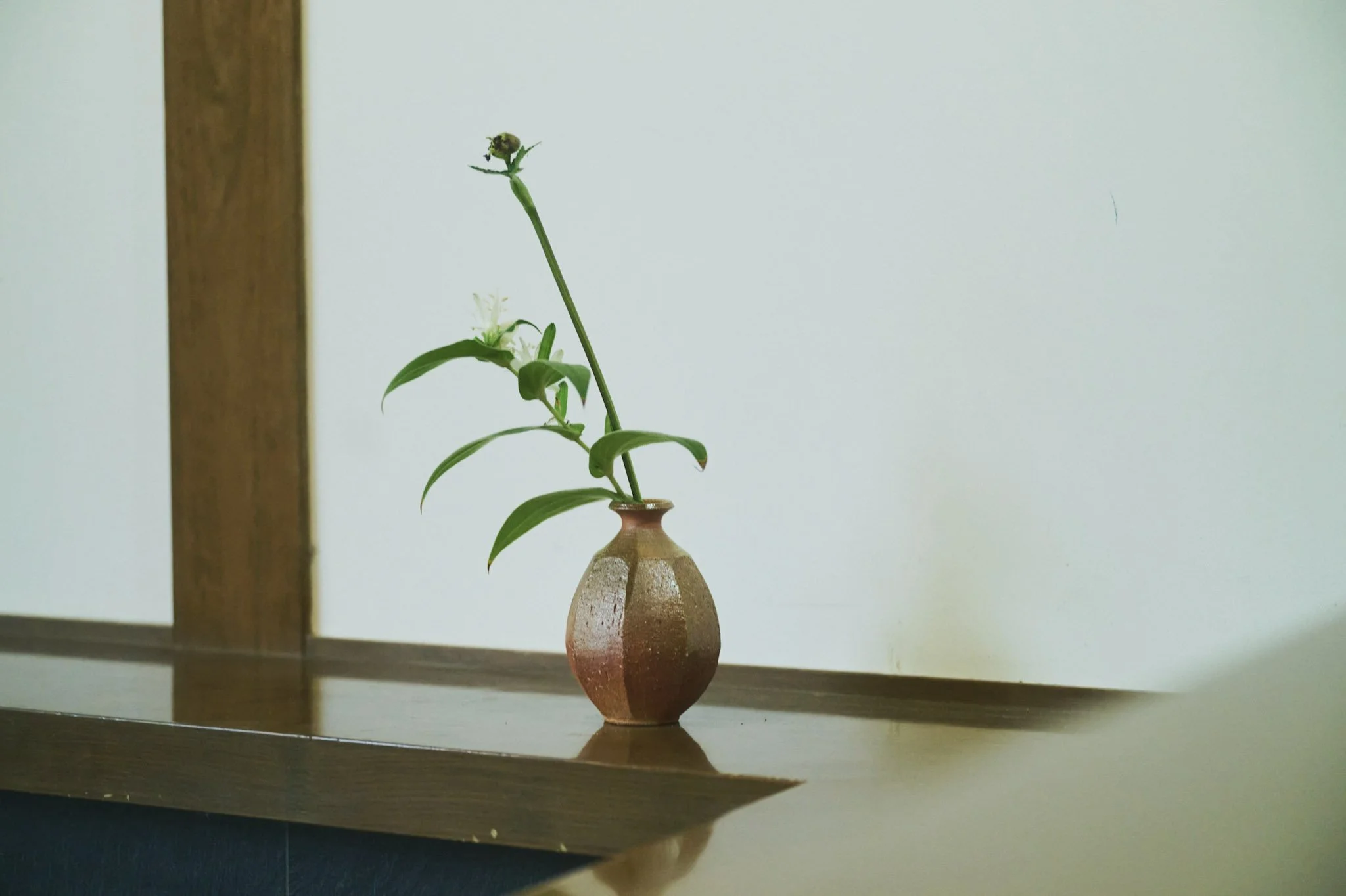 10-Shiga_ShigarakiPotteryStudioTour_095.jpg