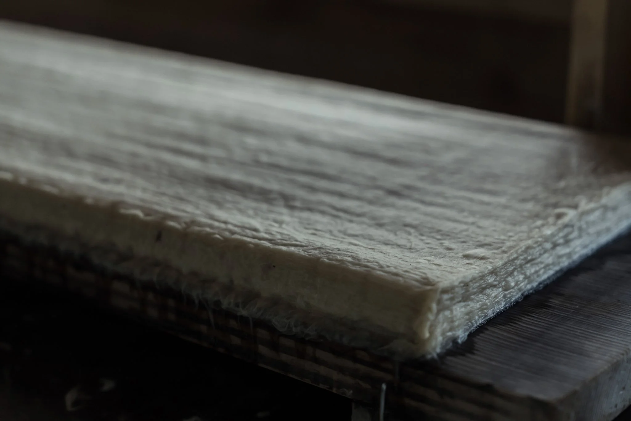 11-Nara_WashiMaking_055.jpg