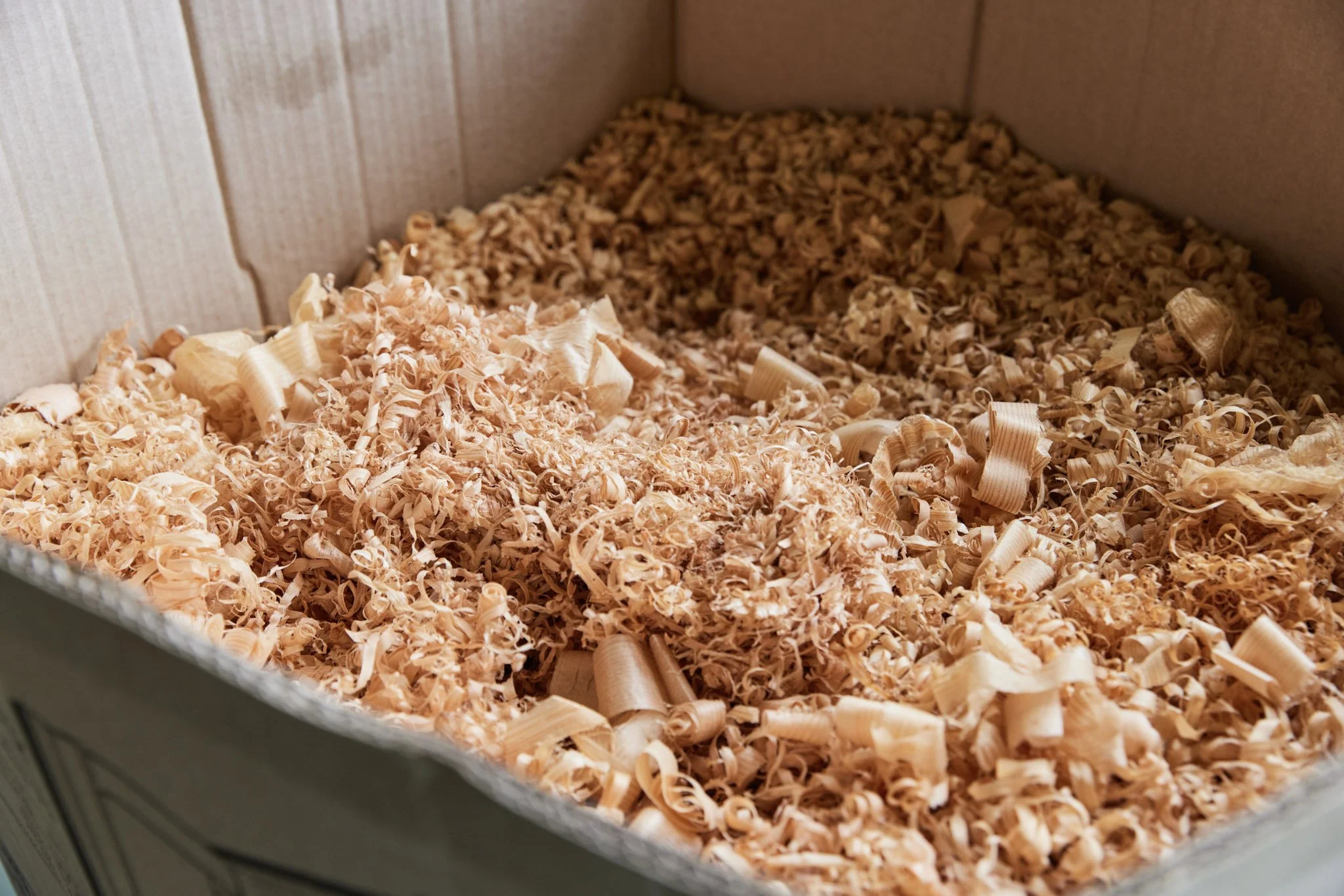 6-Nara_Yoshinosugi_wood_098.jpg