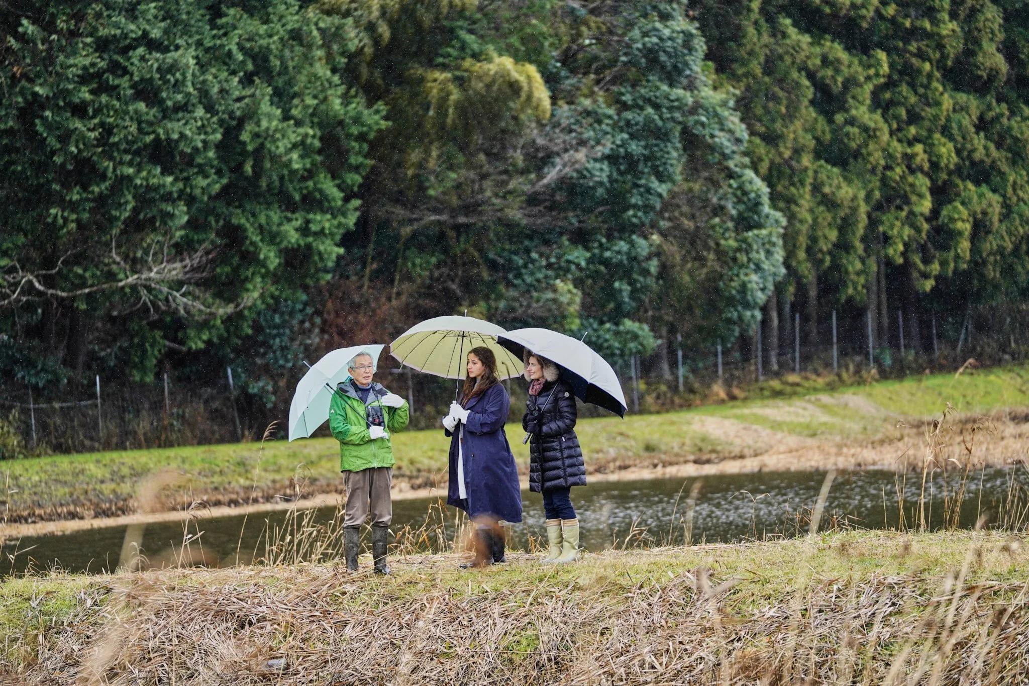 14-Stork_park_Toyooka_101.jpg