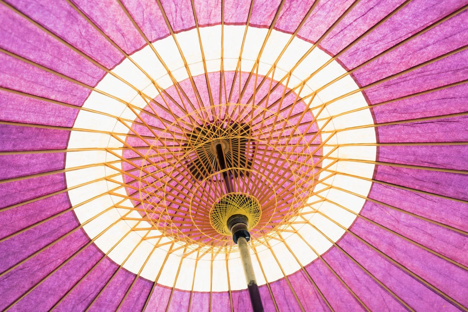 The Evolution of Wagasa Imagery in Modern Media