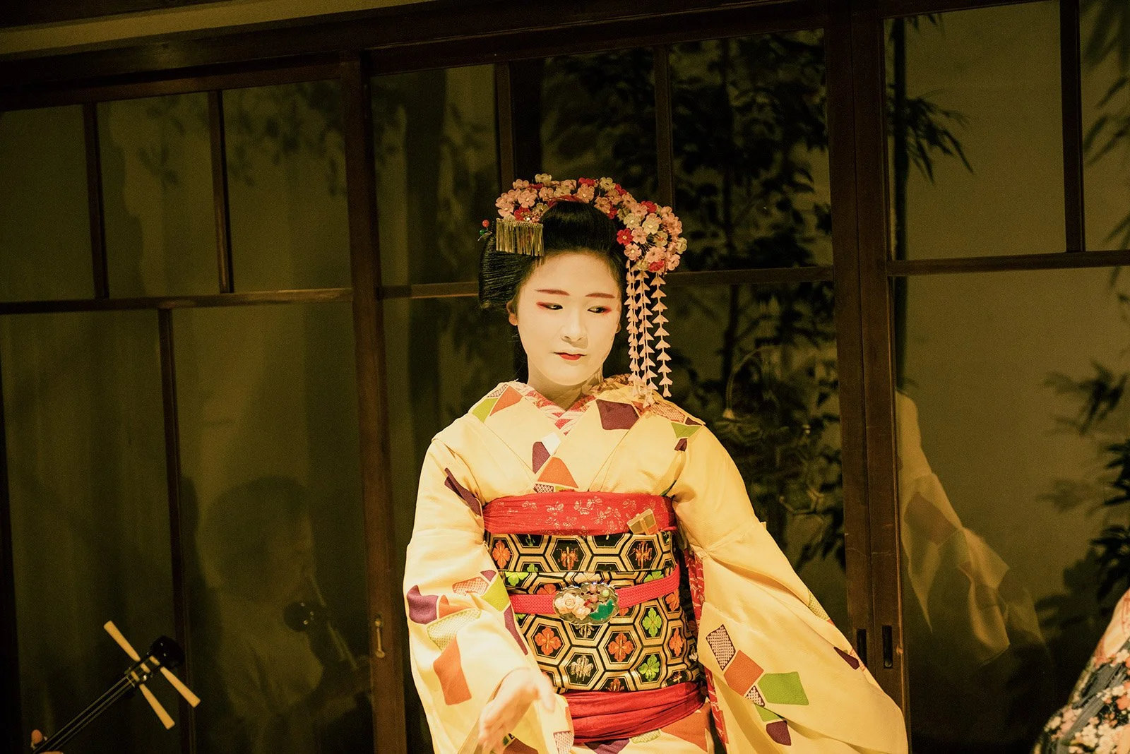 23-detouur_kyoto_geisha_enkai_dinner_166.jpg