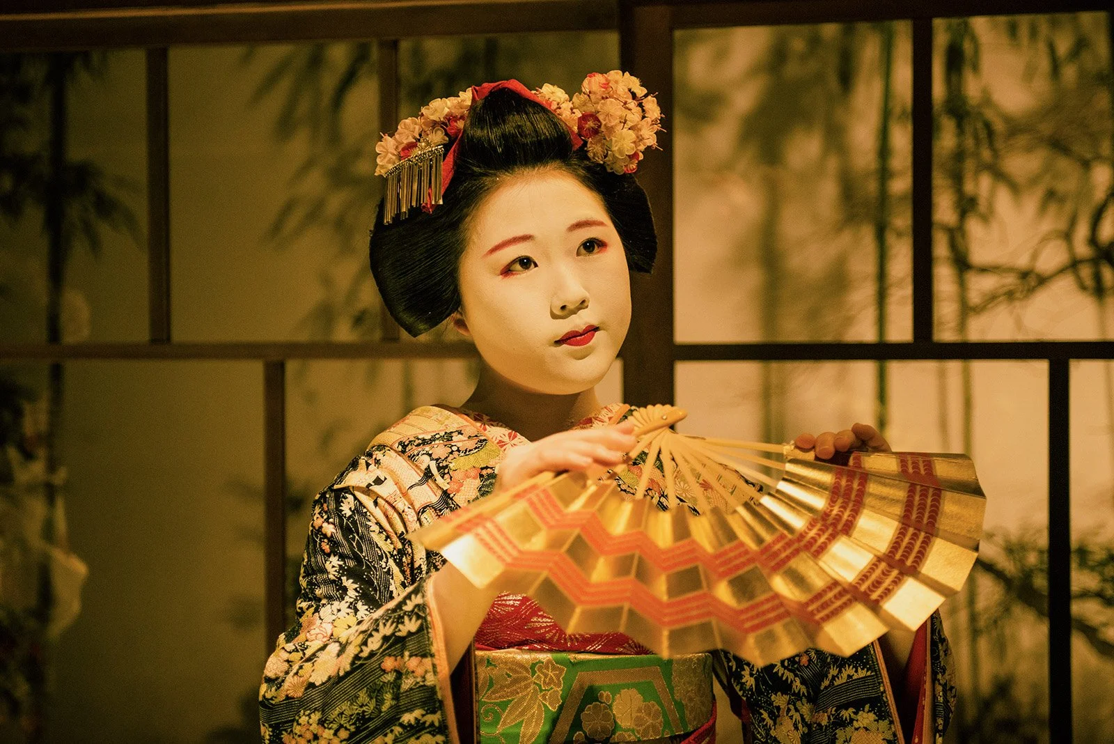 24-detouur_kyoto_geisha_enkai_dinner_177.jpg