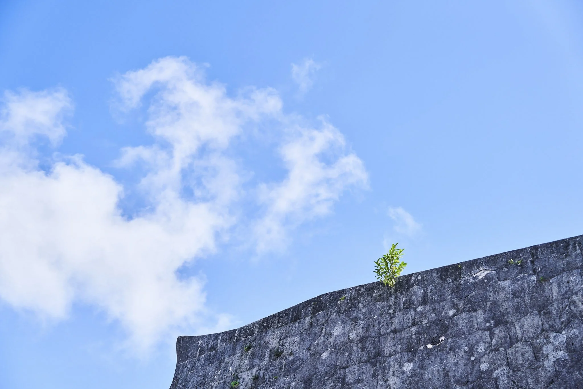 5-Okinawa_Shuri Castle_139.jpg