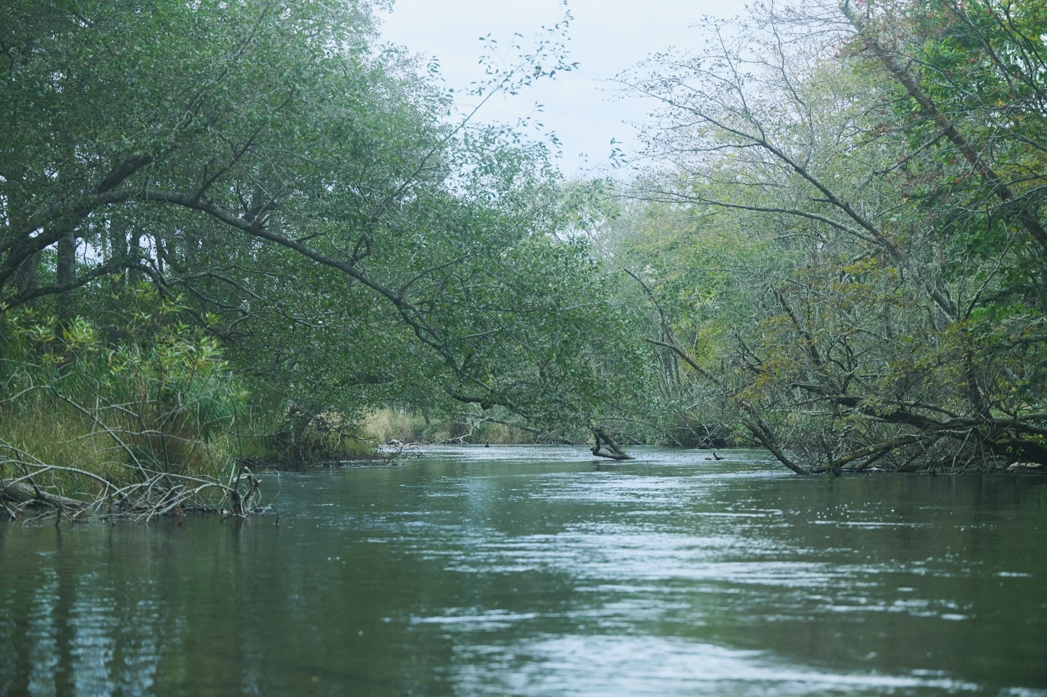 12-Kussharo_Canoeing_130.jpg