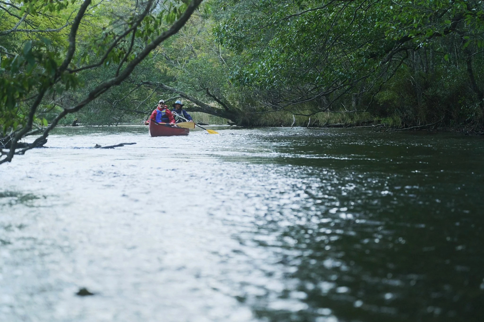 14-Kussharo_Canoeing_163.jpg