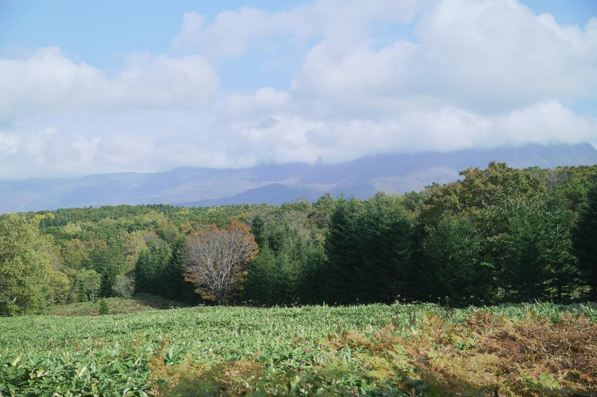 1-Shiretoko_Trekking_005.jpg