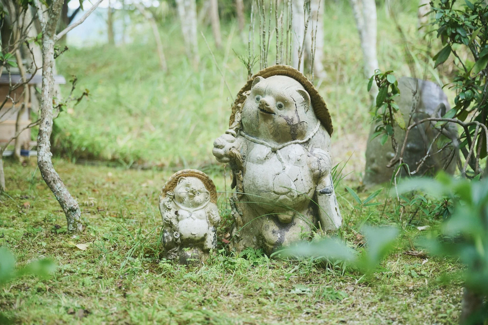 Foxes, Tanuki, and Lion-Dogs: Fantastic Beasts and Where to Find Them