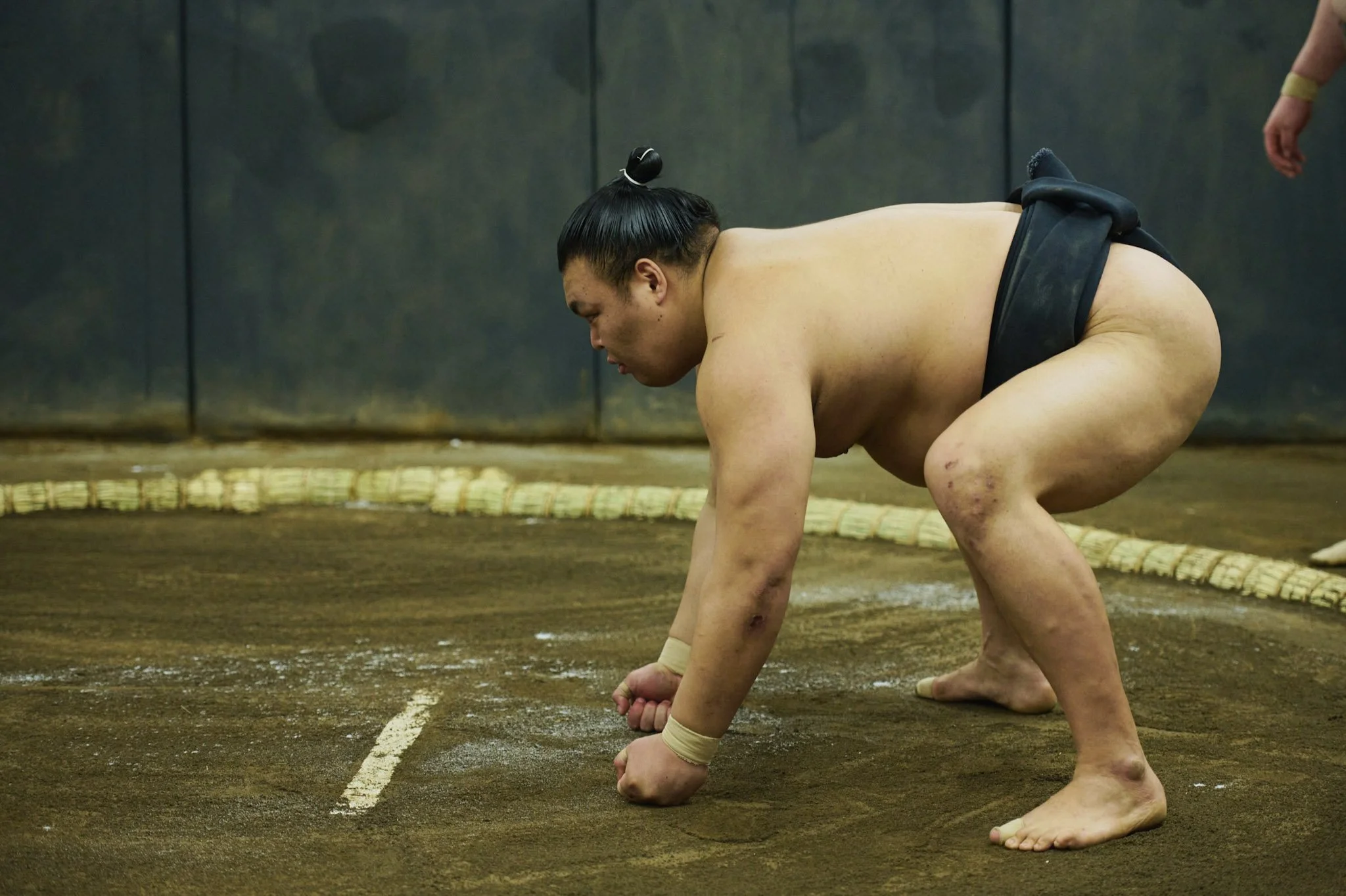 8-Takekuma_Sumo_263.jpg