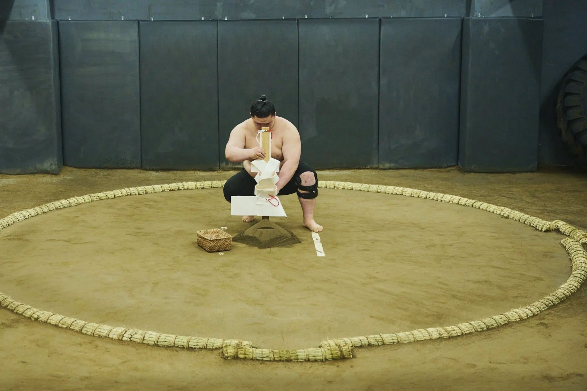 17-Takekuma_Sumo_375.jpg