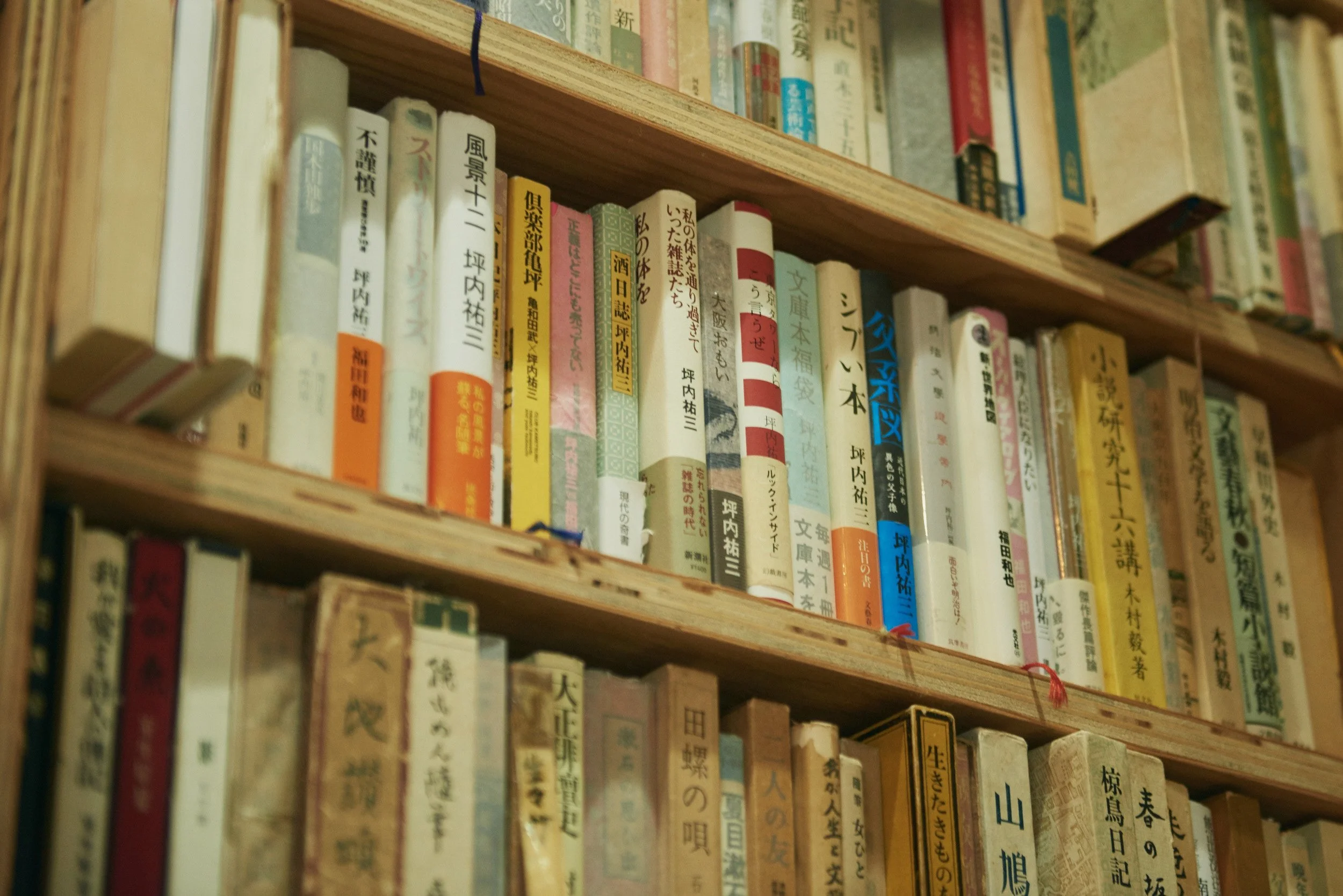 Jazz, Coffee, Cats, and Feminism: Why Japanese Literature Has the West in its Thrall