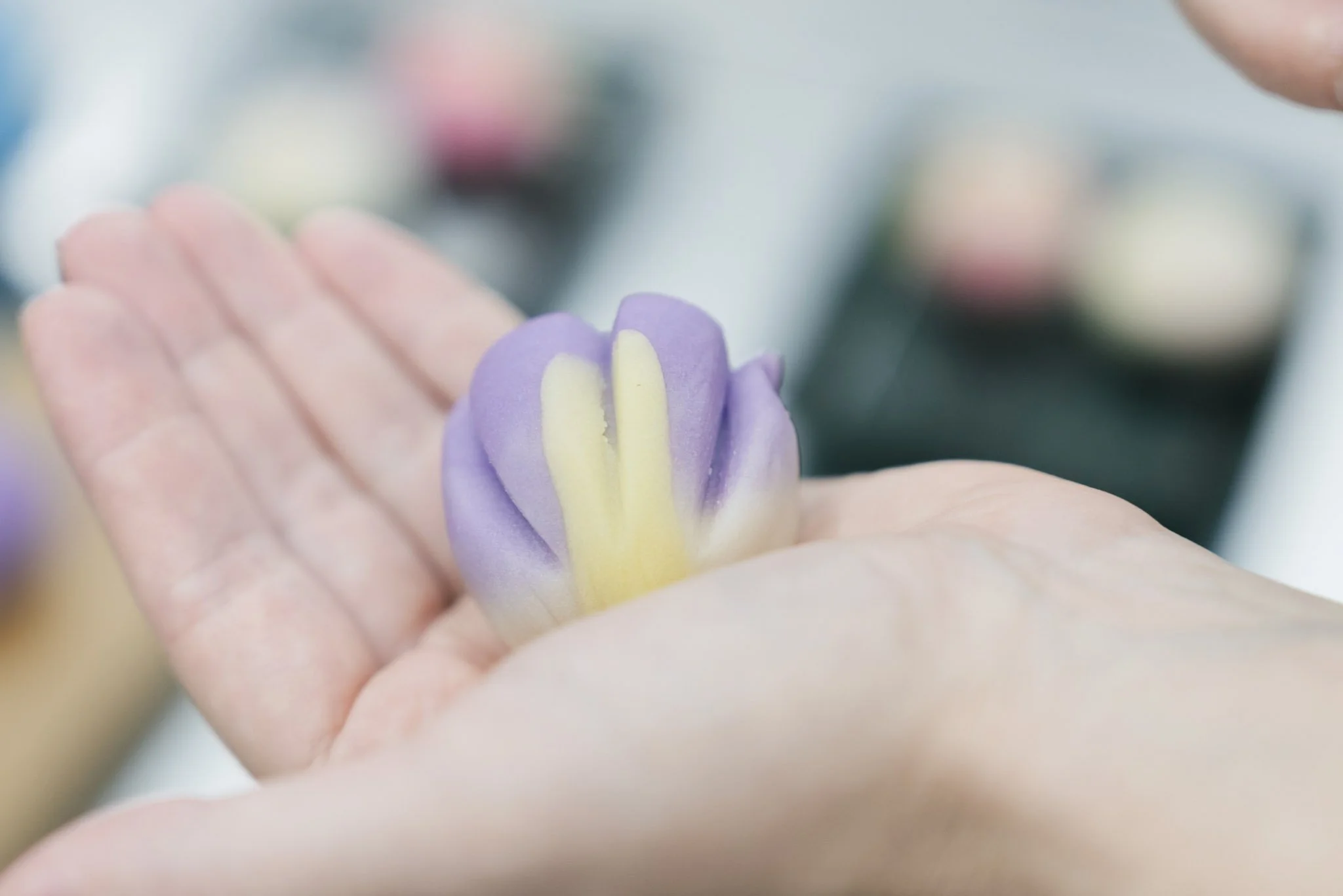 9-Odawara_Wagashi_111.jpg