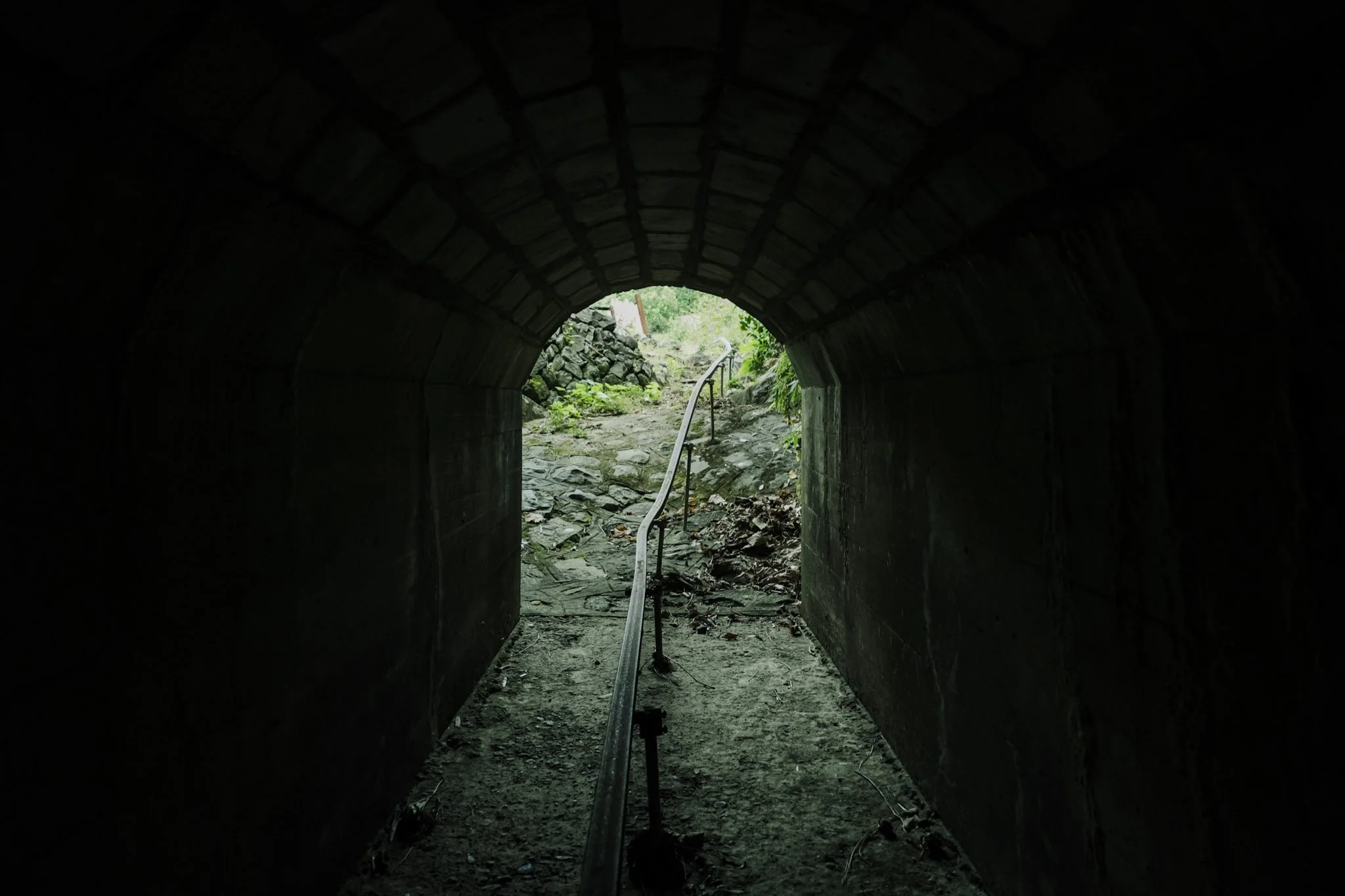 2-Odawara_MikanFarm_029.jpg