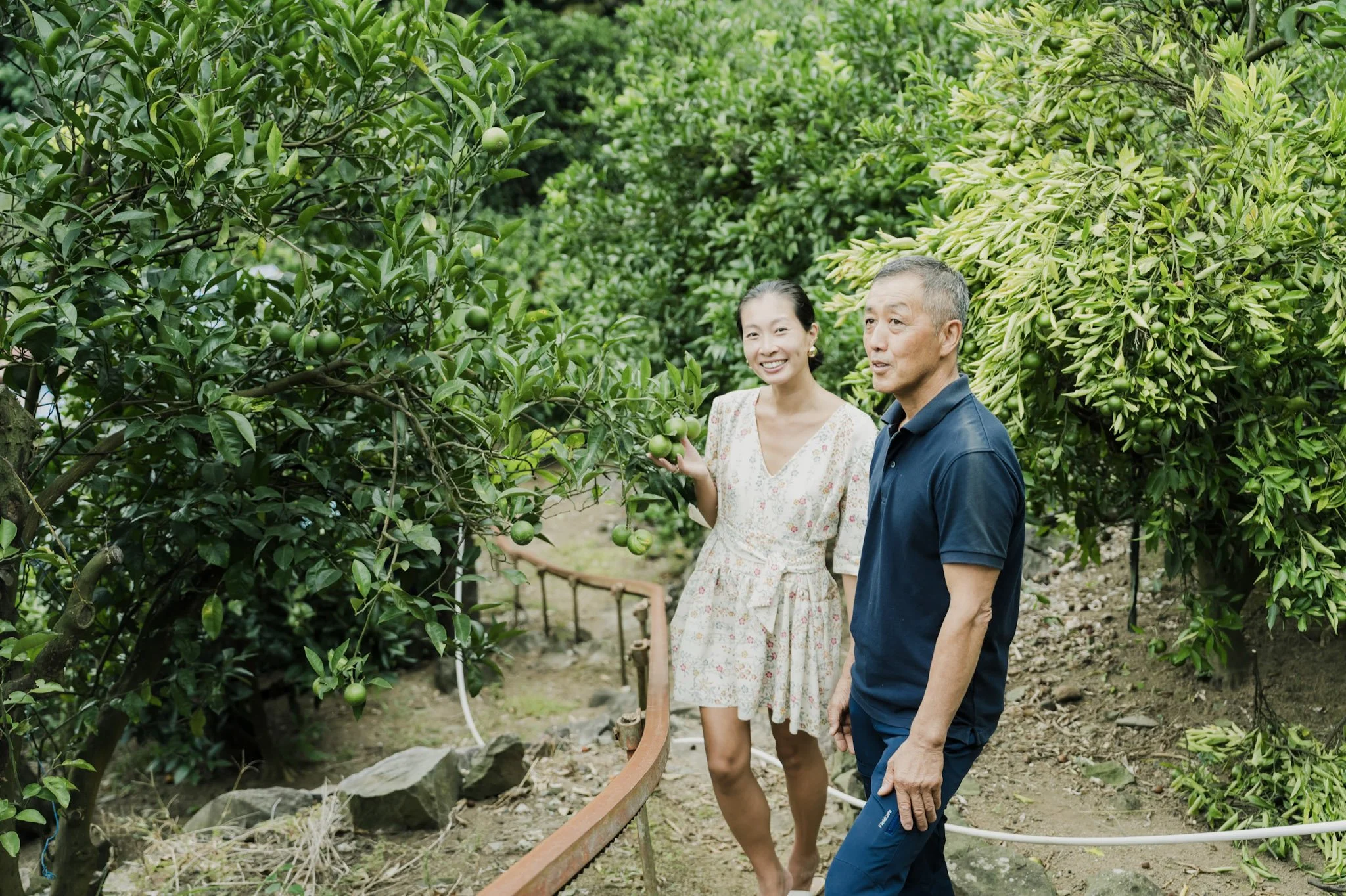 3-Odawara_MikanFarm_048.jpg