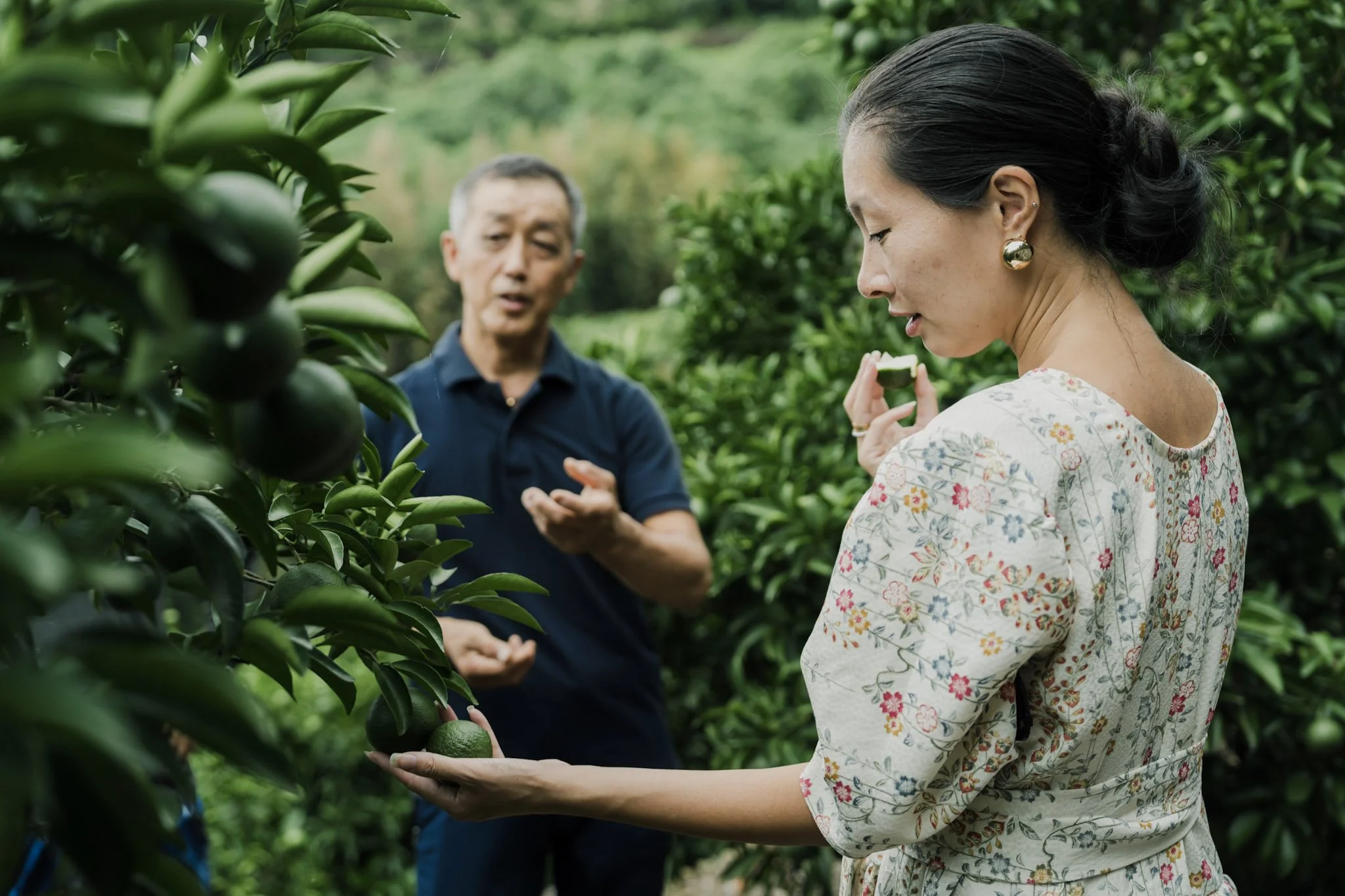11-Odawara_MikanFarm_109.jpg