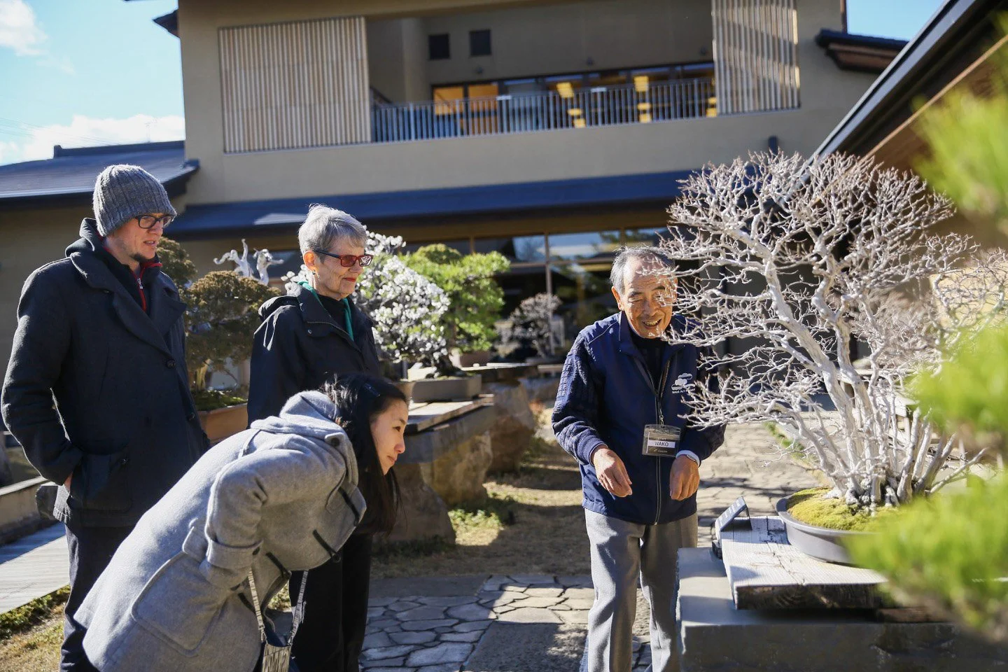 5-Omiya Bonsai_099.jpg